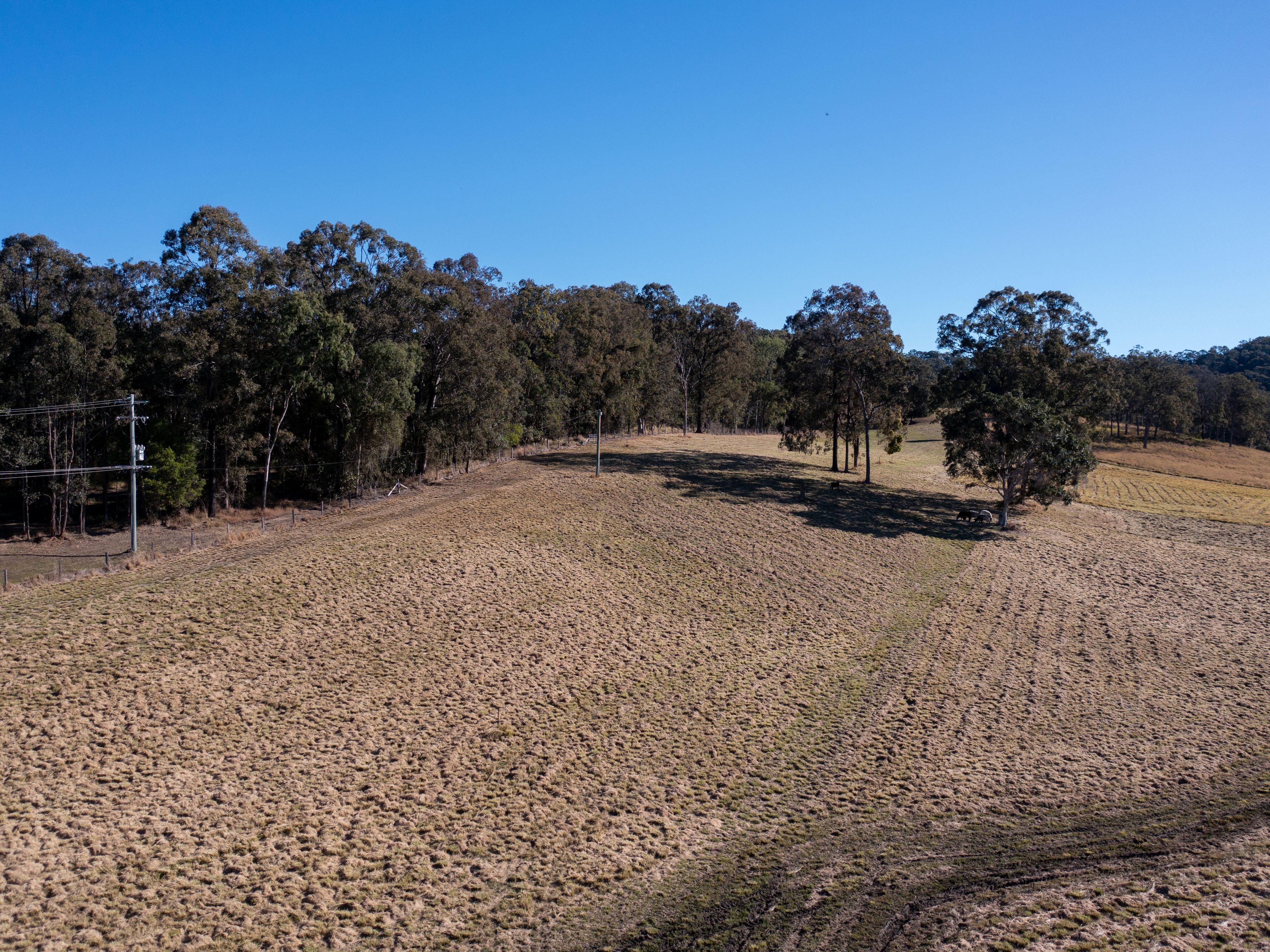 24 Delaneys Creek Road — photo 3 of 7