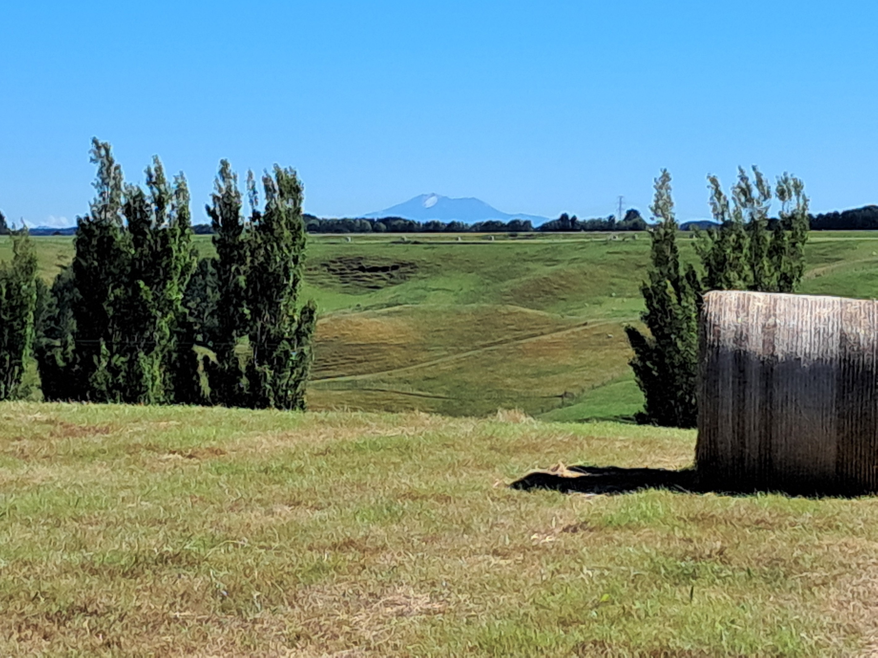 Lot 2/355 Lethbridge Road, Feilding, Manawatu District