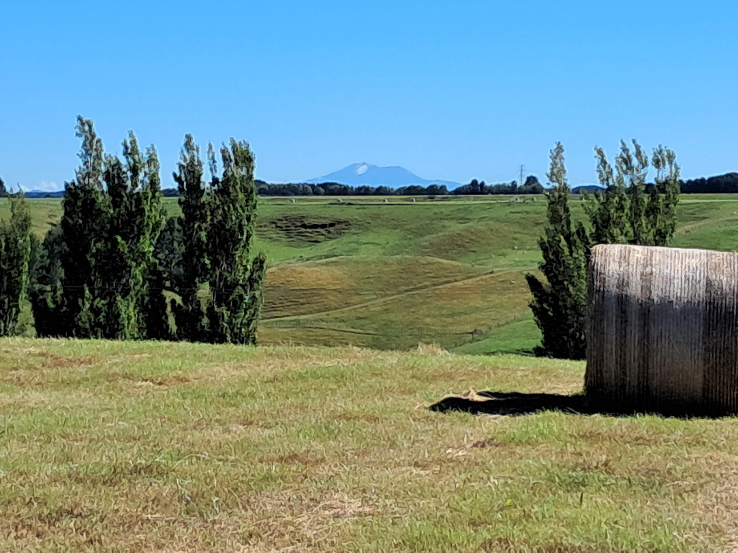 Lot 2/355 Lethbridge Road, Feilding, Manawatu District