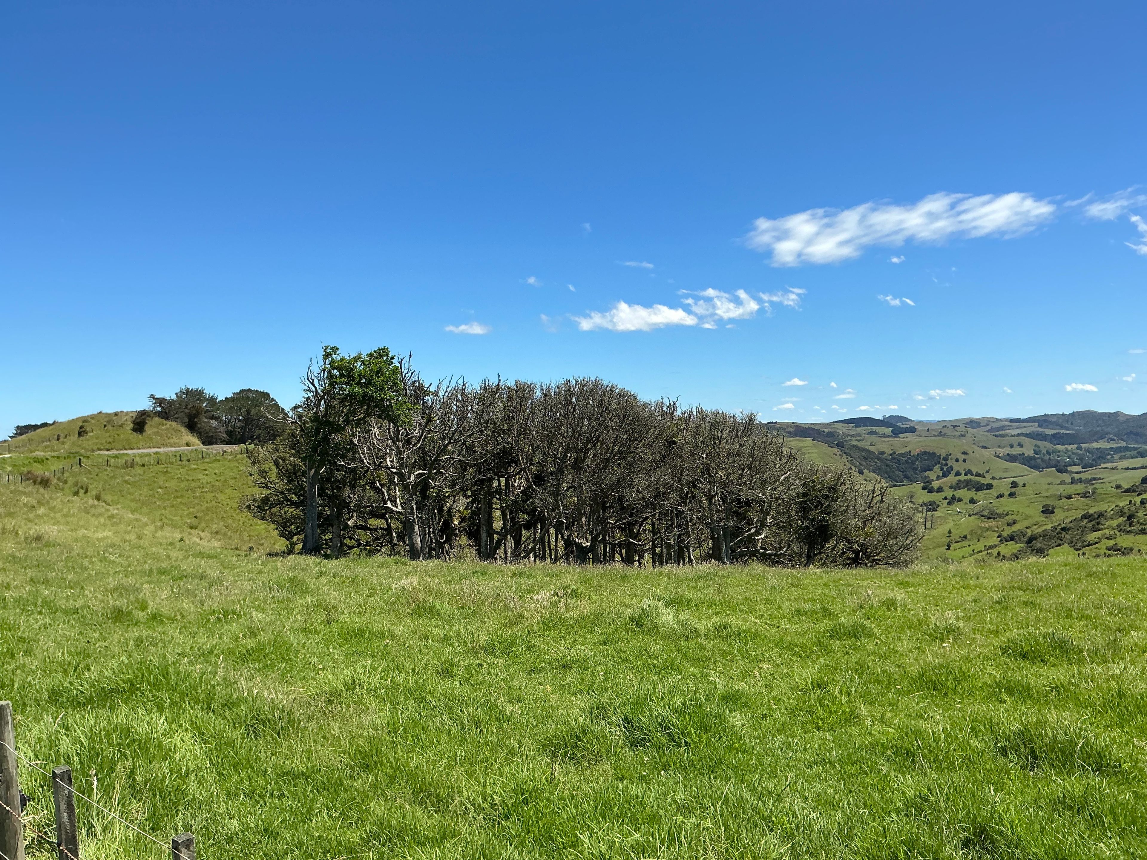 Lot 3 DP539905 Dill Road, Kaipara Flats, Rodney