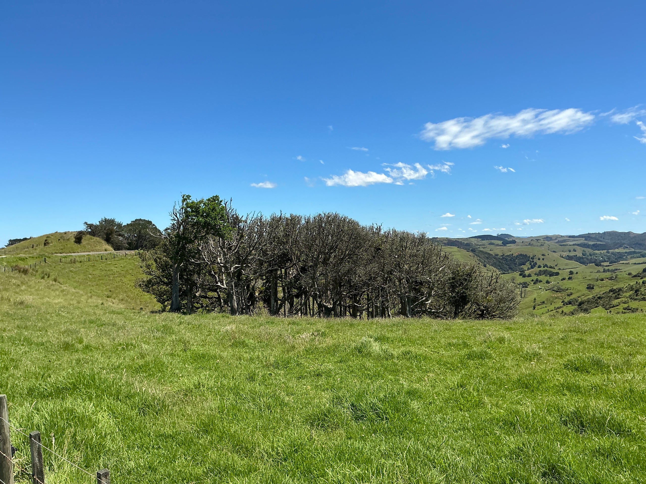 Lot 3 DP539905 Dill Road, Kaipara Flats, Rodney