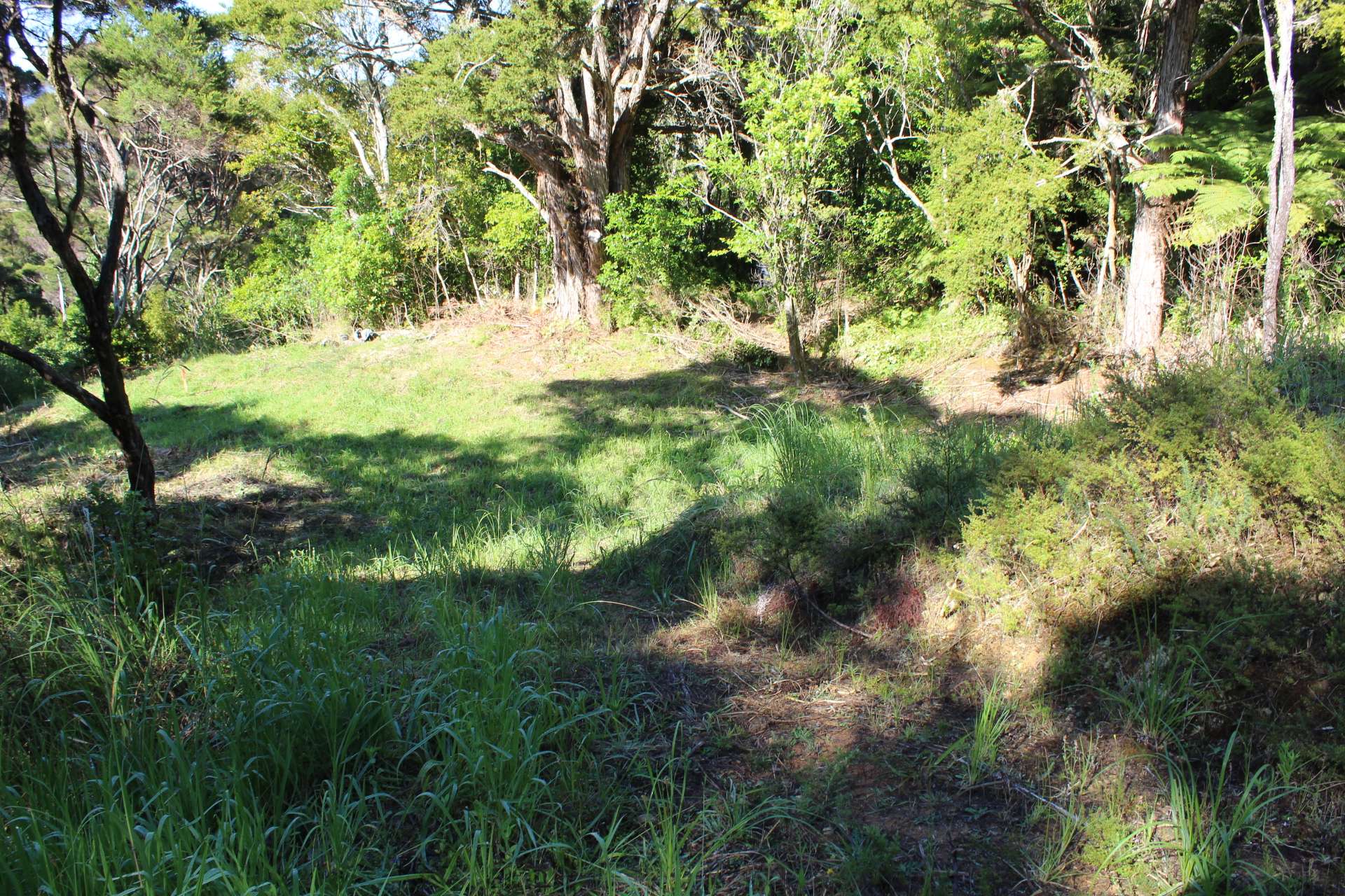 Russell  Far North District  0202 photo 2