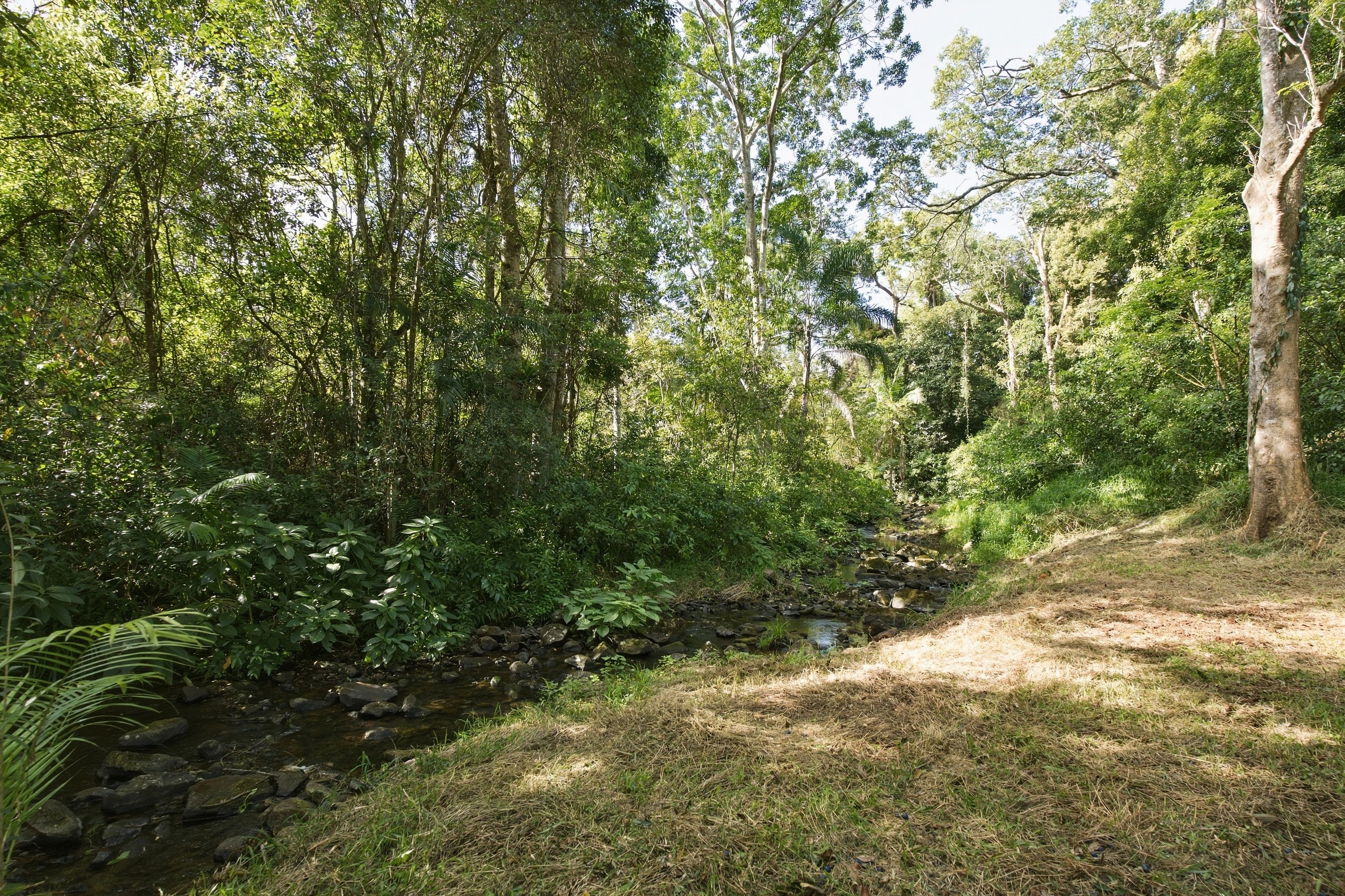 716 Binna Burra Road, Federal, NSW 2480
