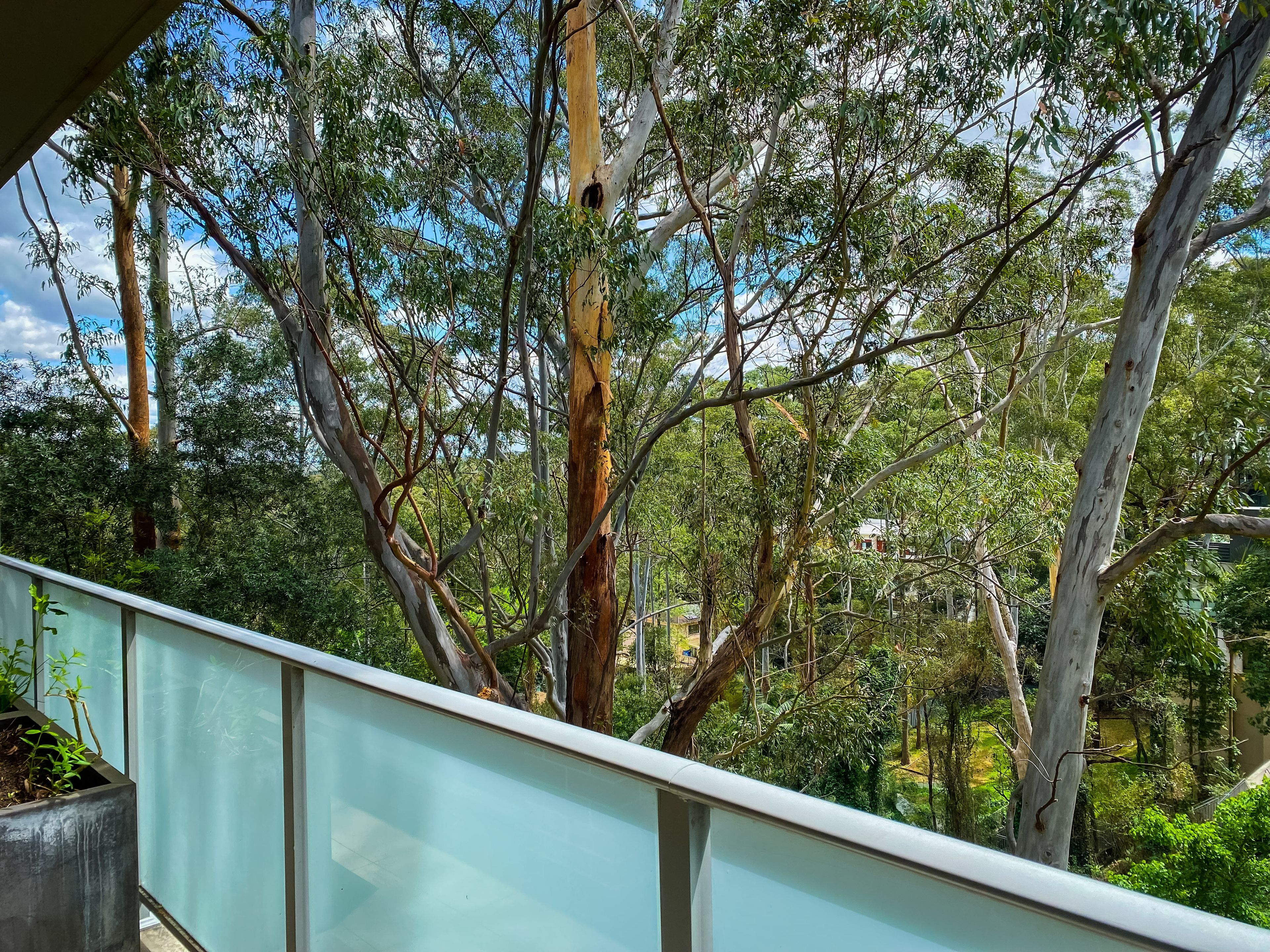 10/1 Lamond Drive, Turramurra, NSW 2074