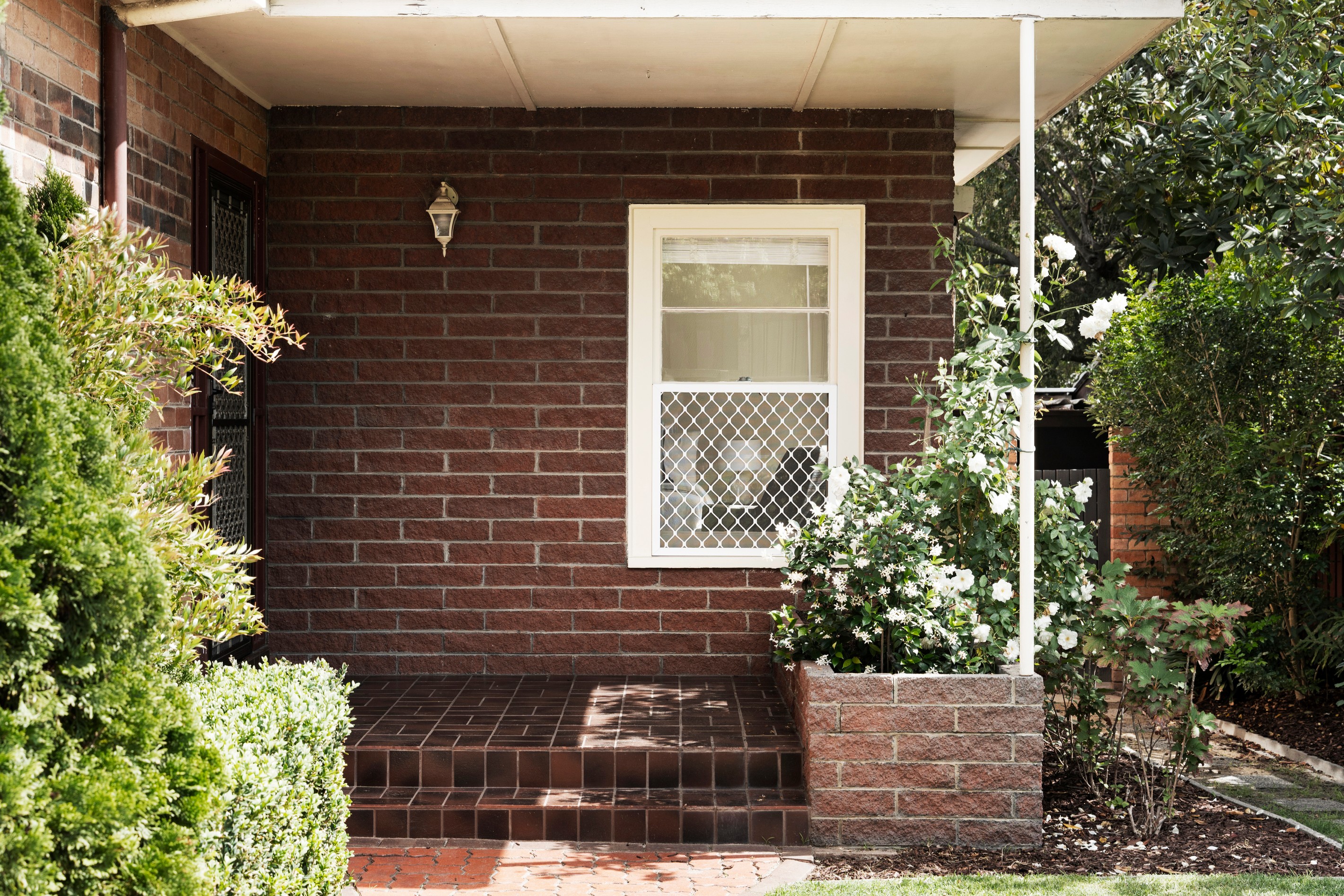 3 Tulip Grove, Cheltenham, VIC 3192