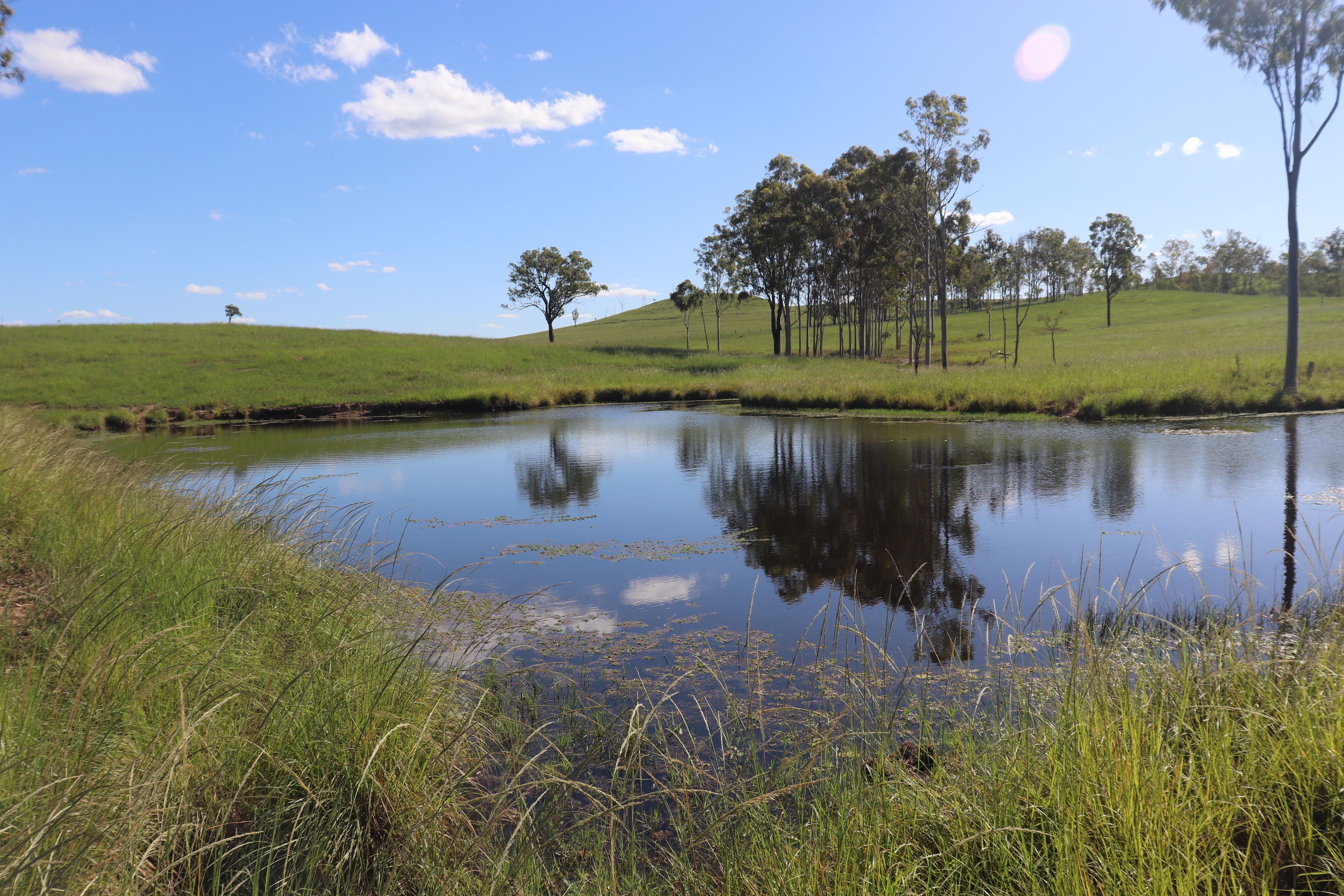 150 Tablelands Road, Gin Gin, QLD 4671 Rural Livestock Property for