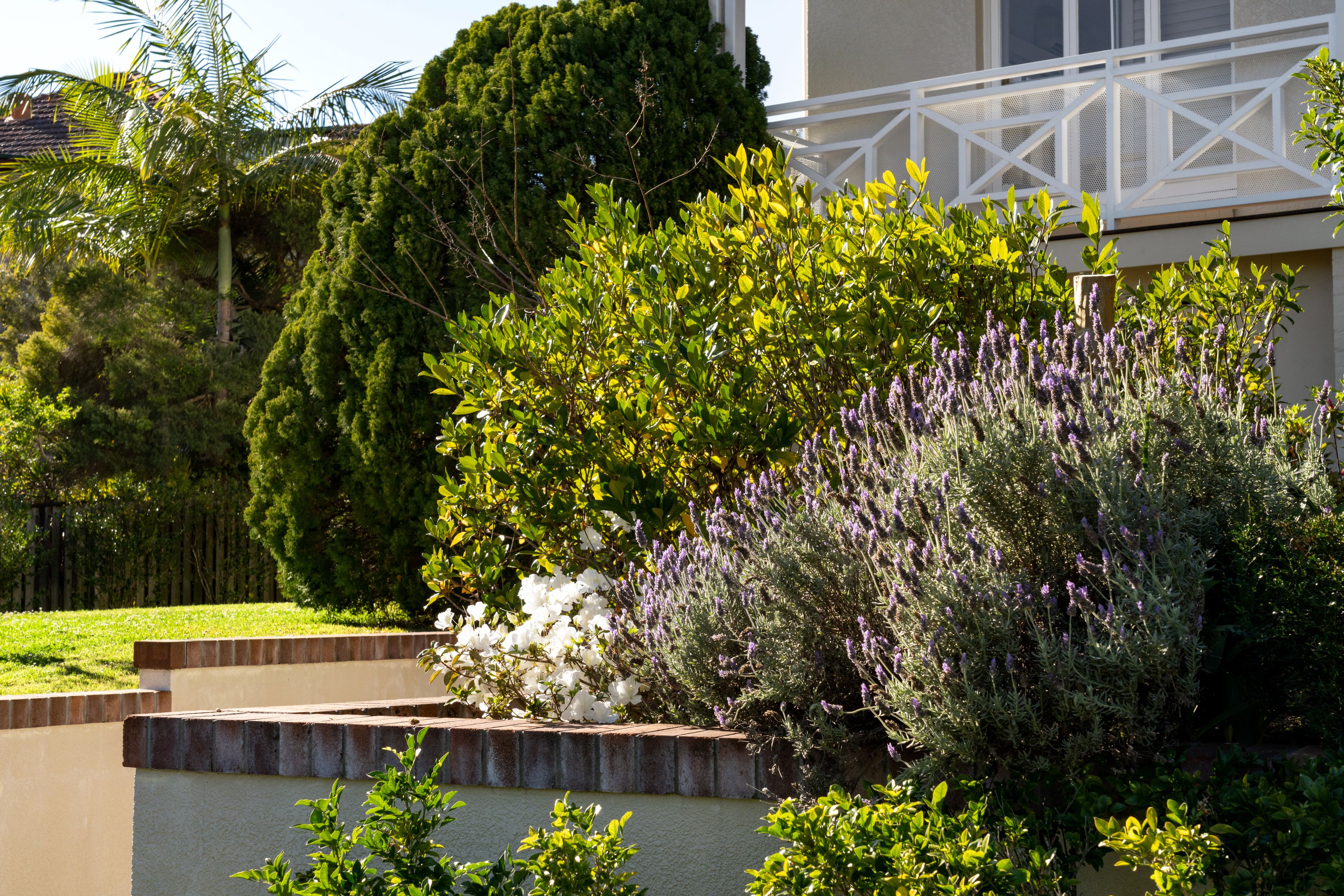 17 Perihelion Street, Coorparoo, QLD 4151