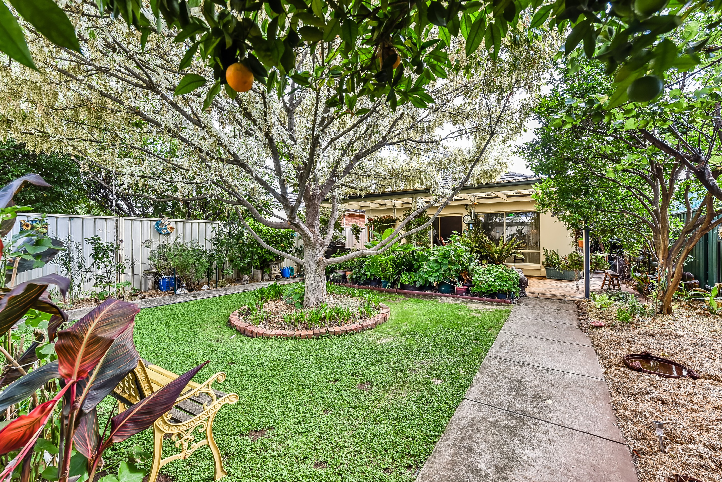 34A Oliphant Avenue, Marion, SA 5043