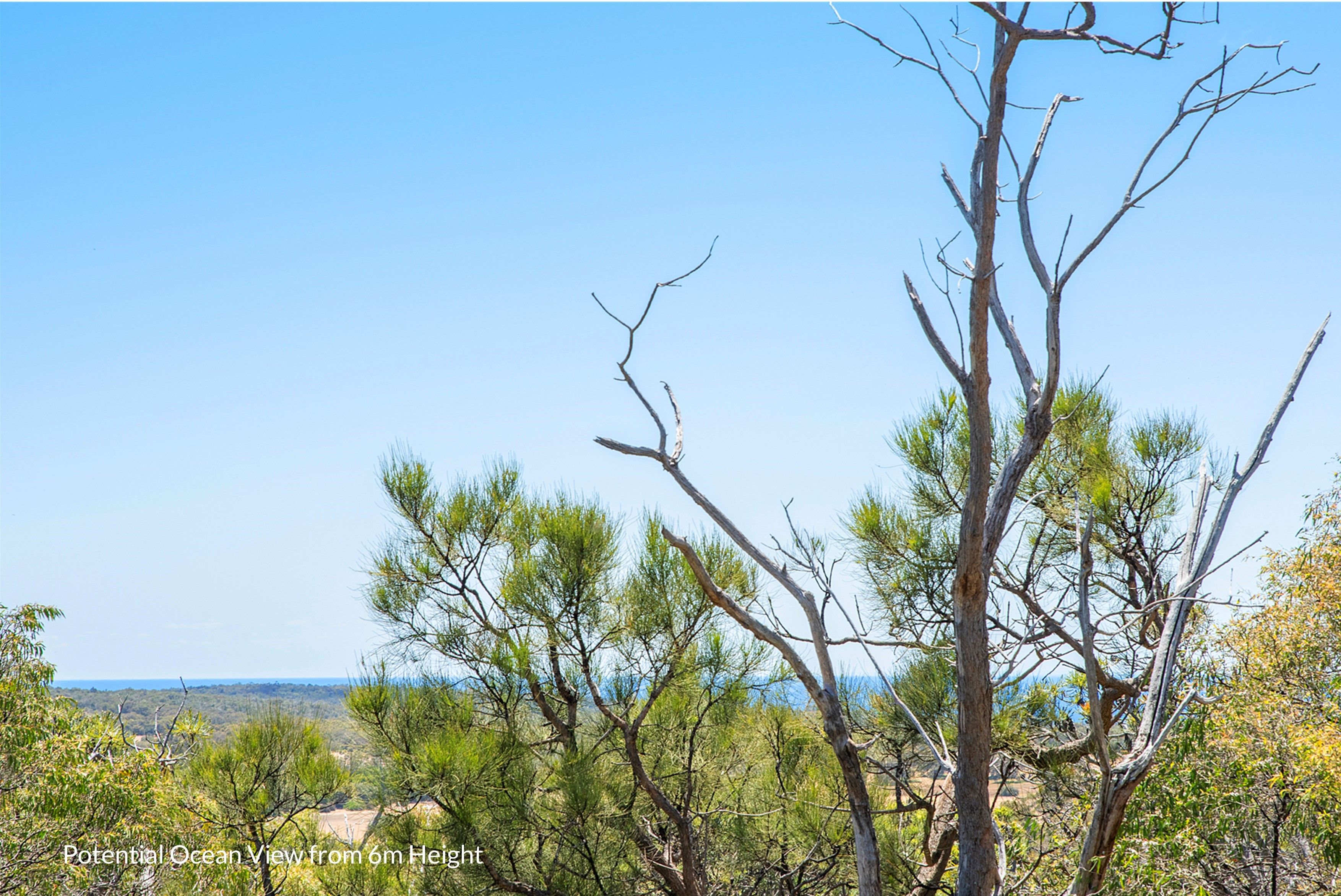 Lot 29 Drummond Glen, Naturaliste, WA 6281 Land for Sale Ray White