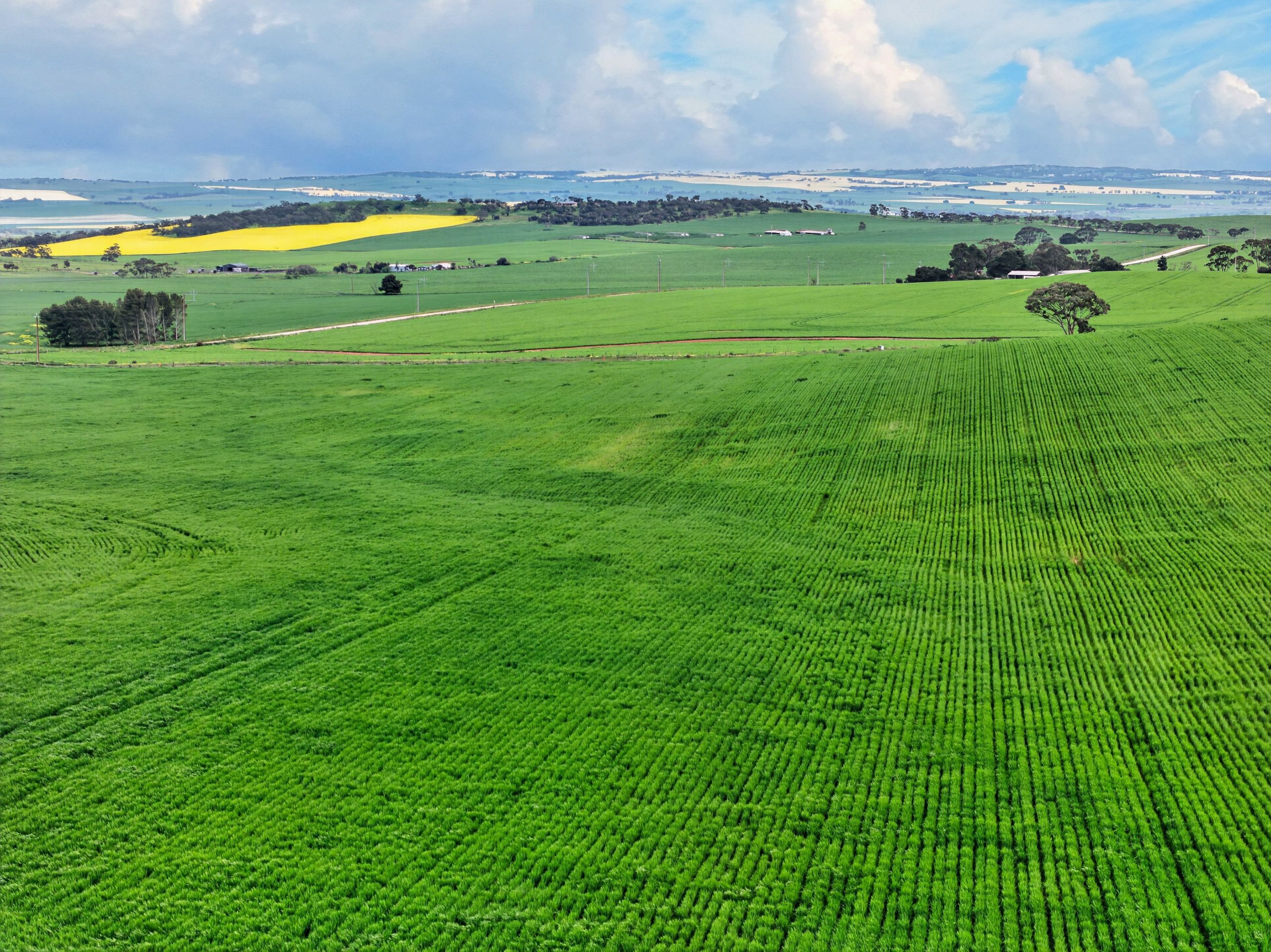 'Schumachers Range' Weichert Road, Bethel, SA 5373