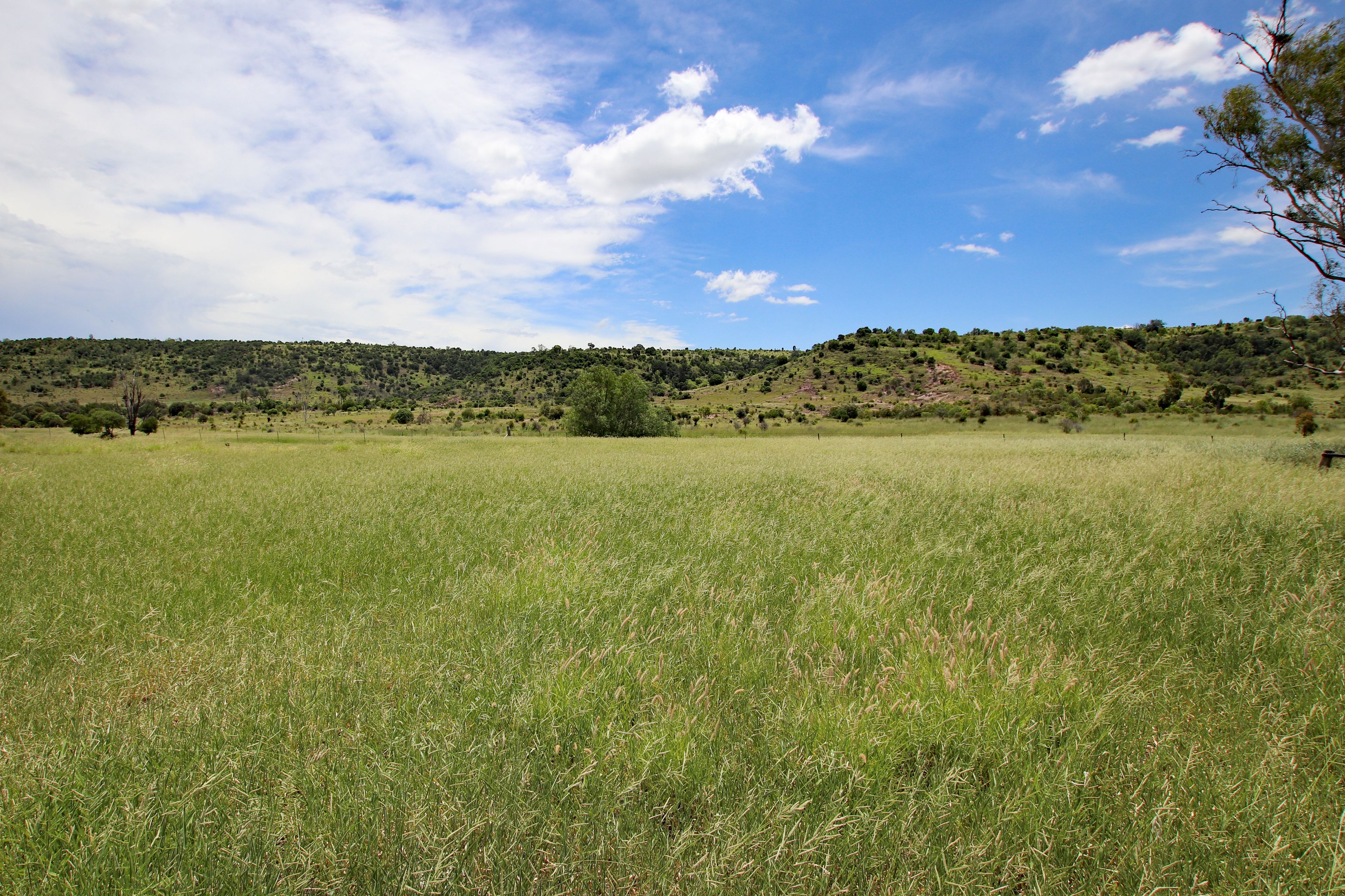 465 Roys Road, Thangool, QLD 4716