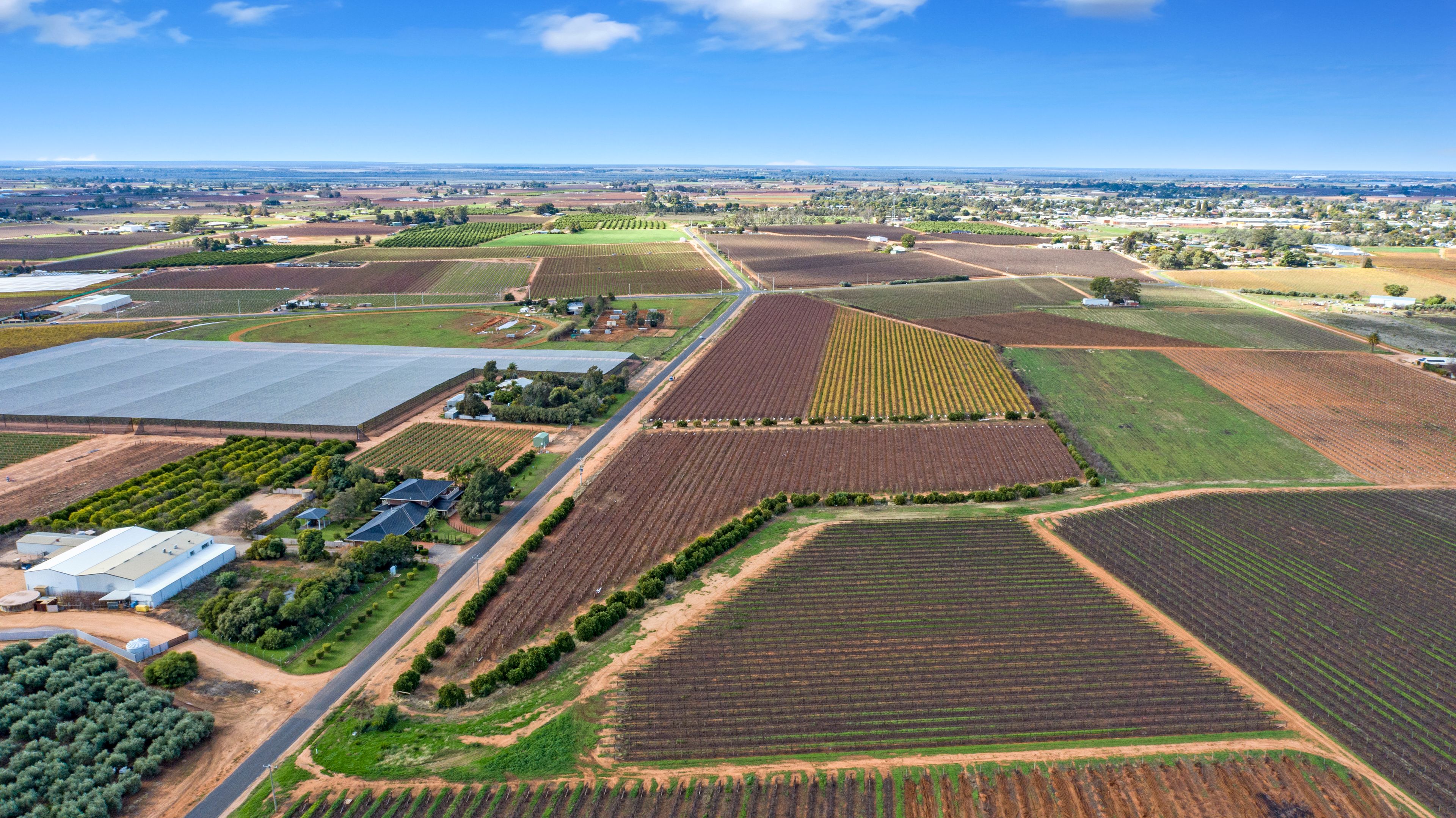 356 Myall Street, Red Cliffs, VIC 3496 Rural Horticulture Property