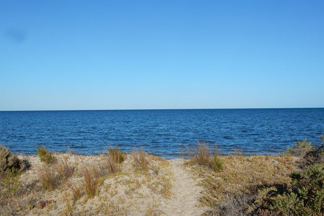 75 Main Street, Pine Point, SA 5571