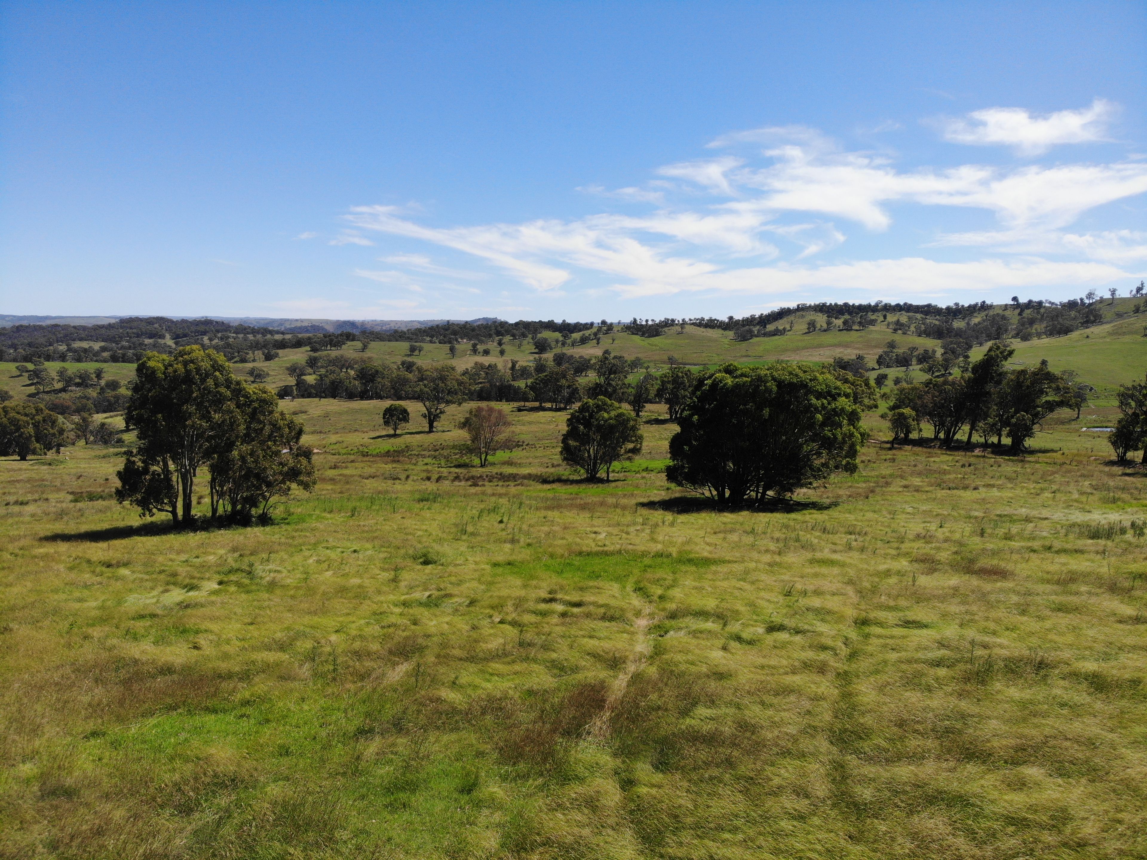 380 Nandi Road, Canyonleigh, NSW 2577 Rural Livestock Property for