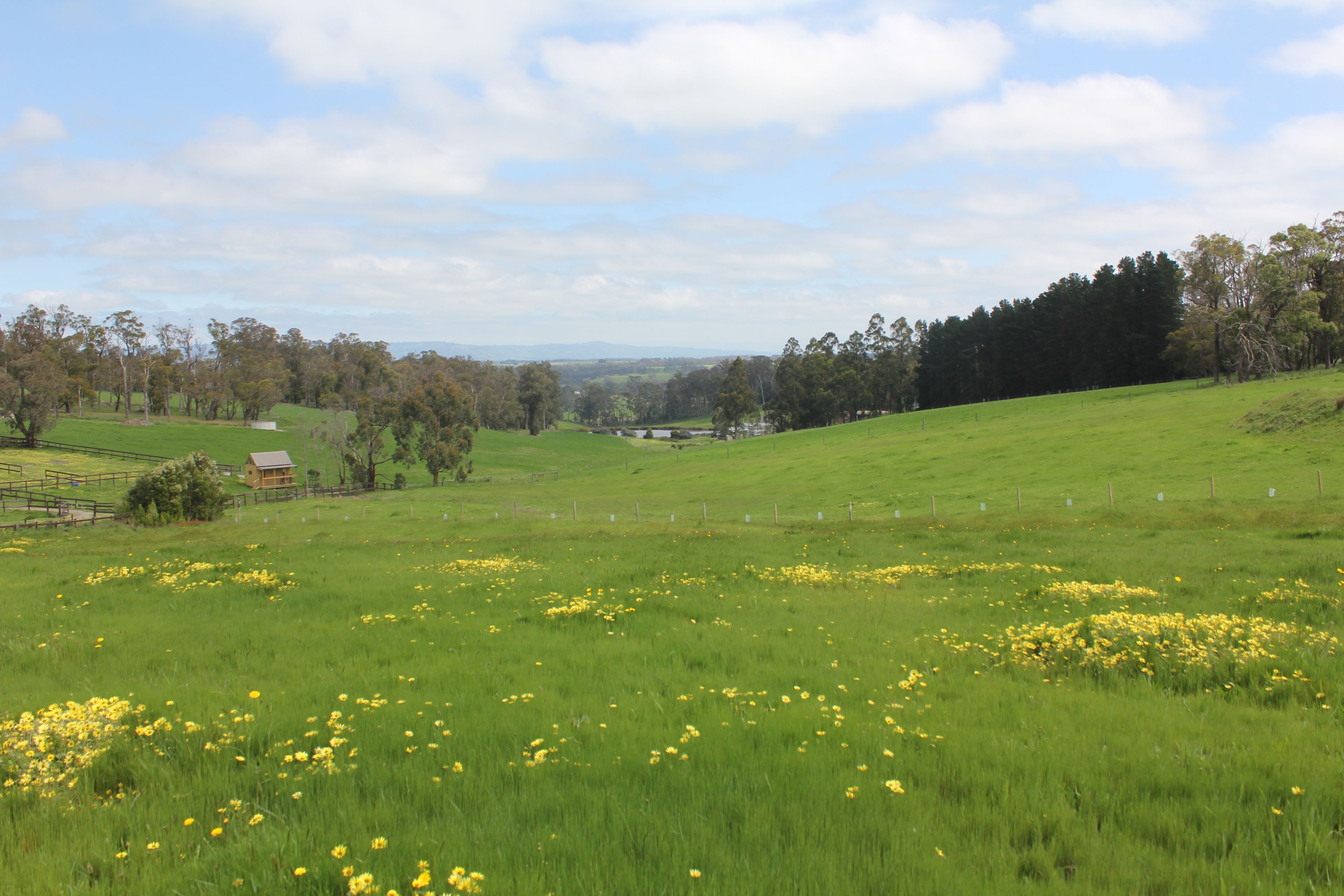 1612 Willow Grove Road, Willow Grove VIC 3825