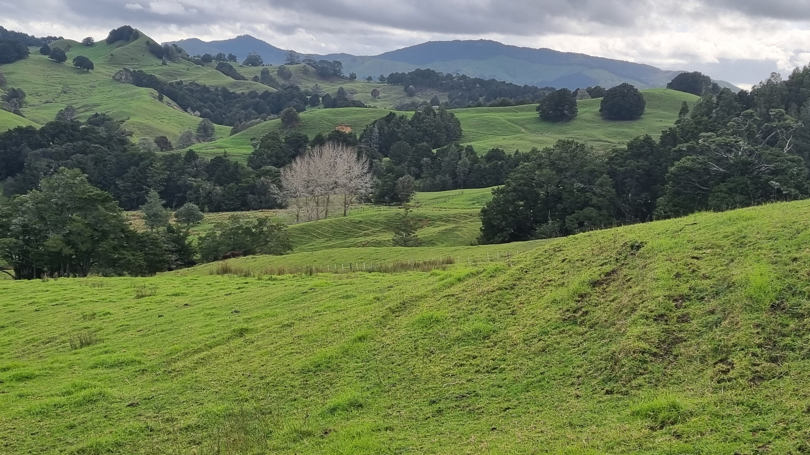0 Aponga Road, Purua, Whangarei District