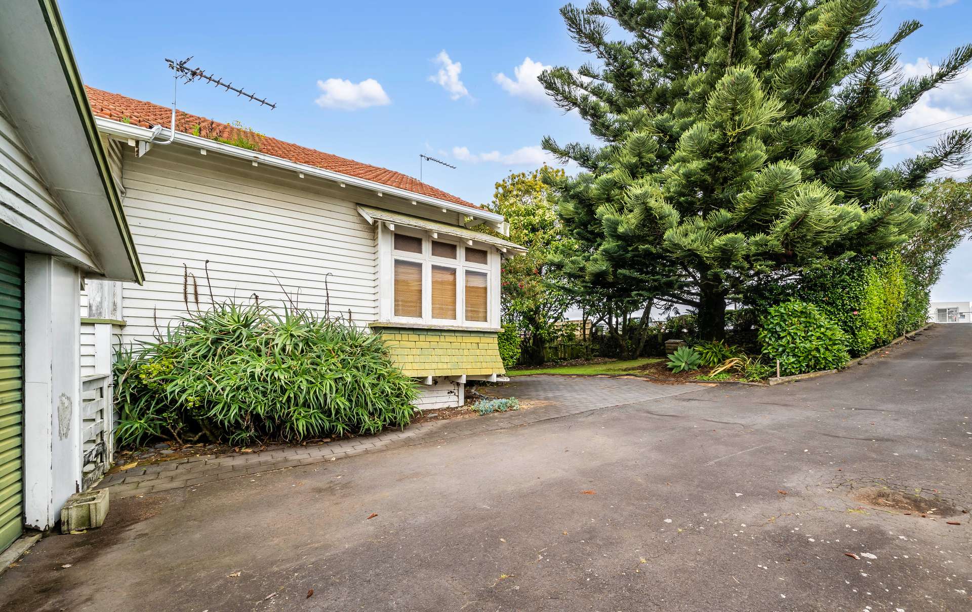 924 Mount Eden Road photo 3