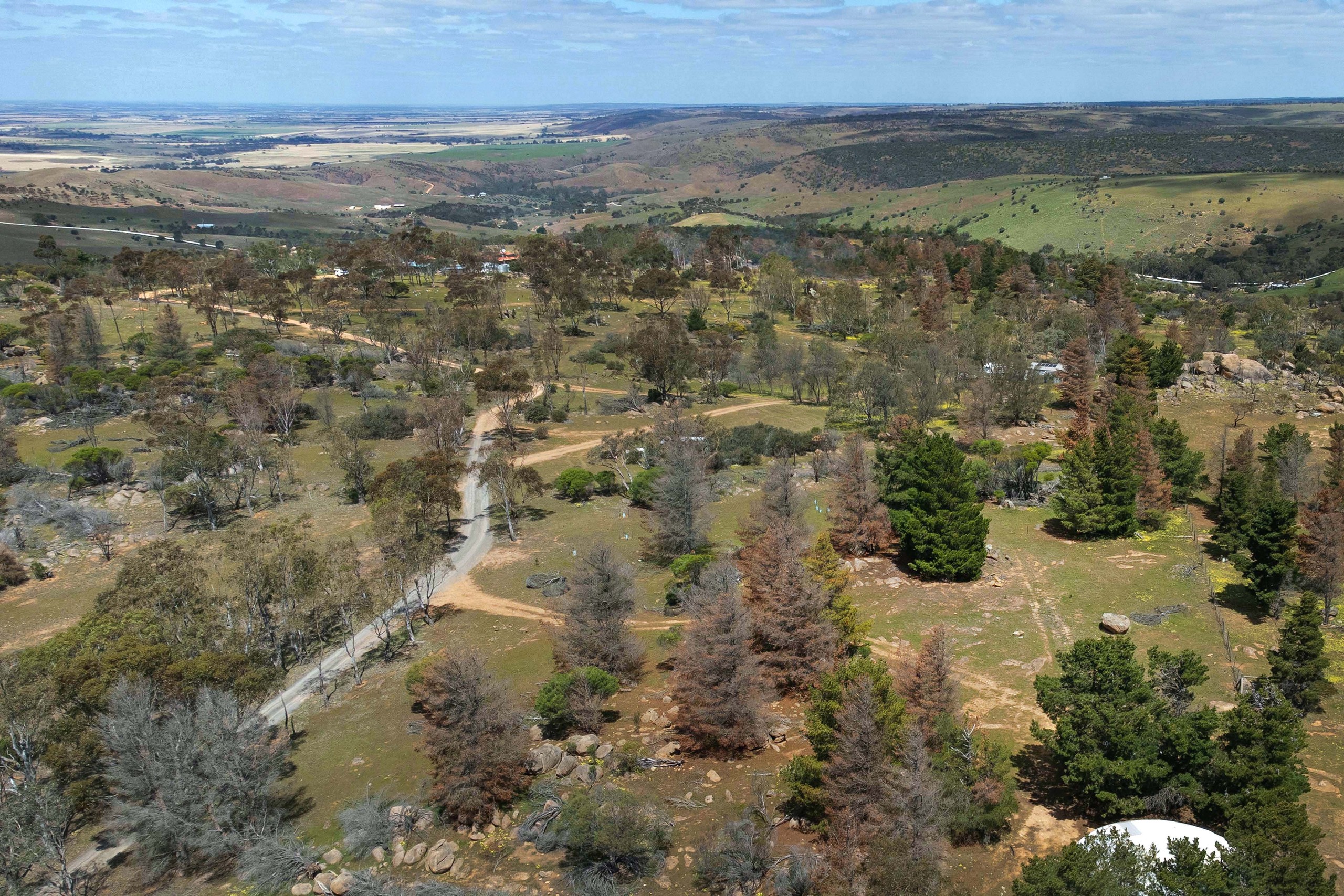 1478 Randell Road, Palmer, SA 5237