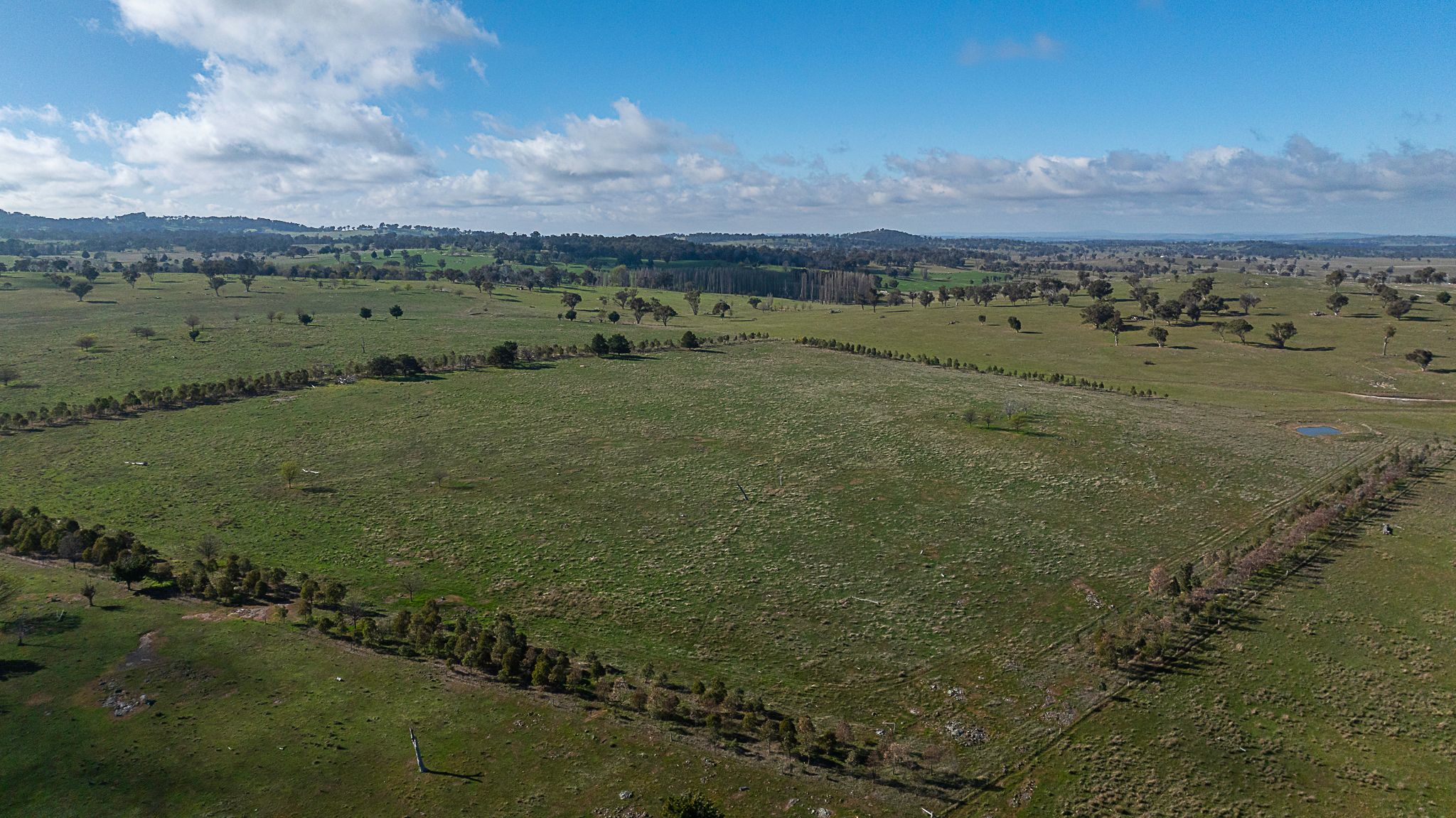133 Bellbrook East Road — photo from Ray White Armidale
