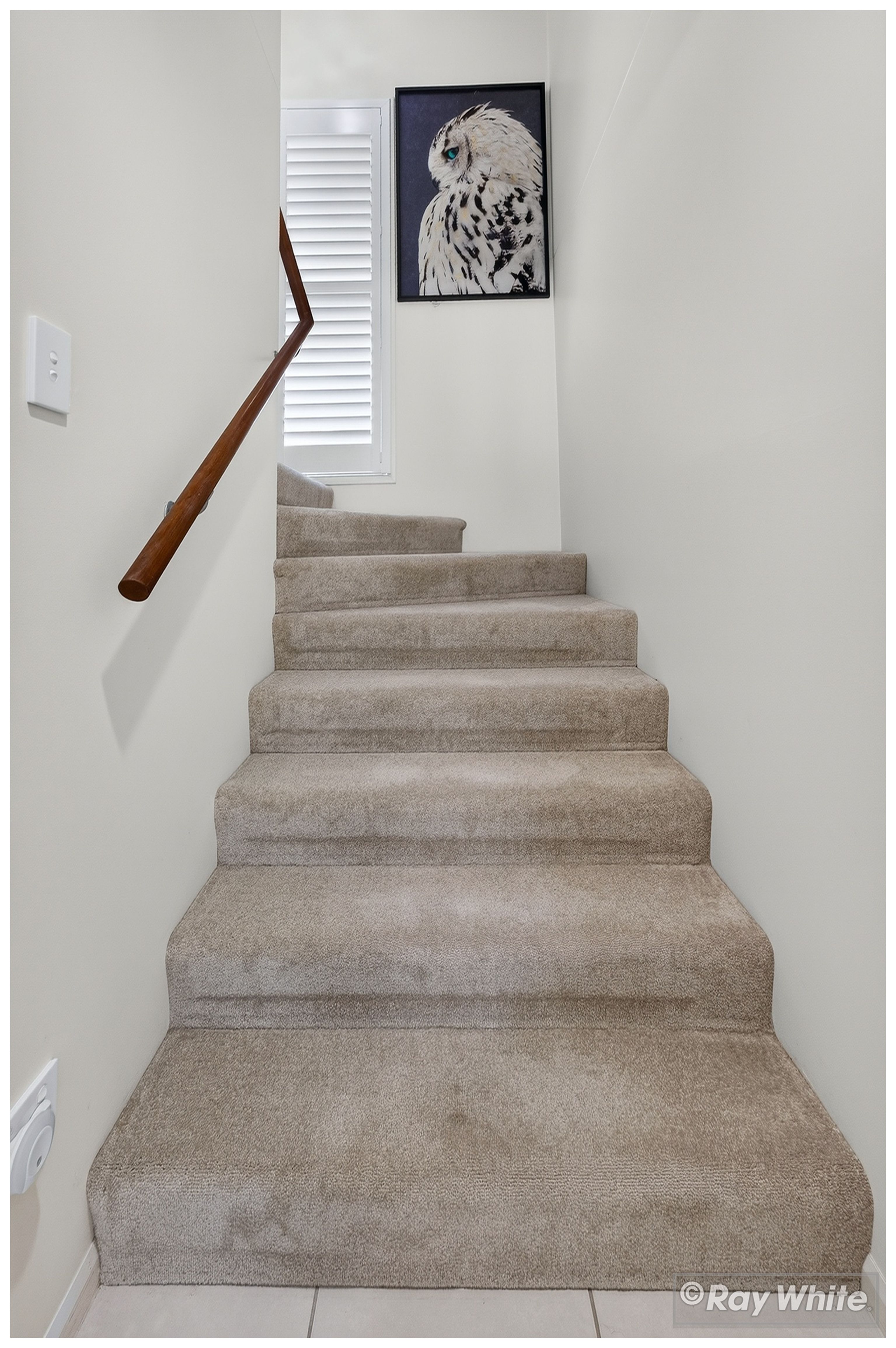 9/175 Frenchville Road — photo 11 of 30