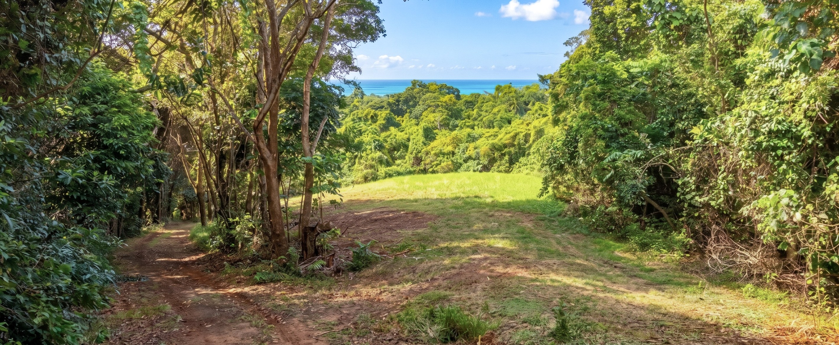 Lot 997 Rockingham Drive, Wongaling Beach, QLD 4852