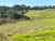 132B Gatfield Road photo 10