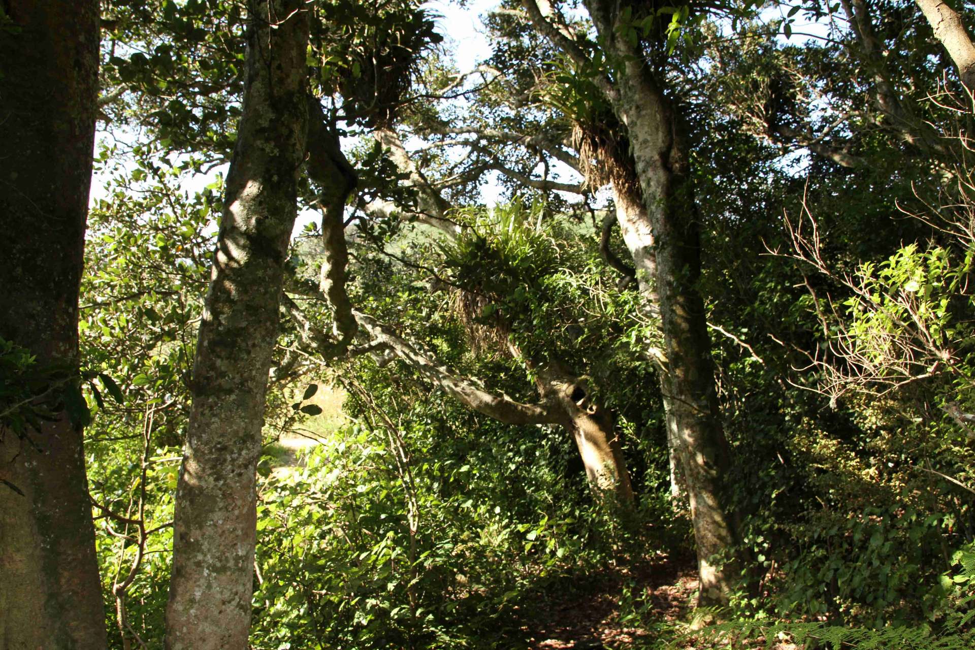 Lot 1 State Highway 10 photo 15