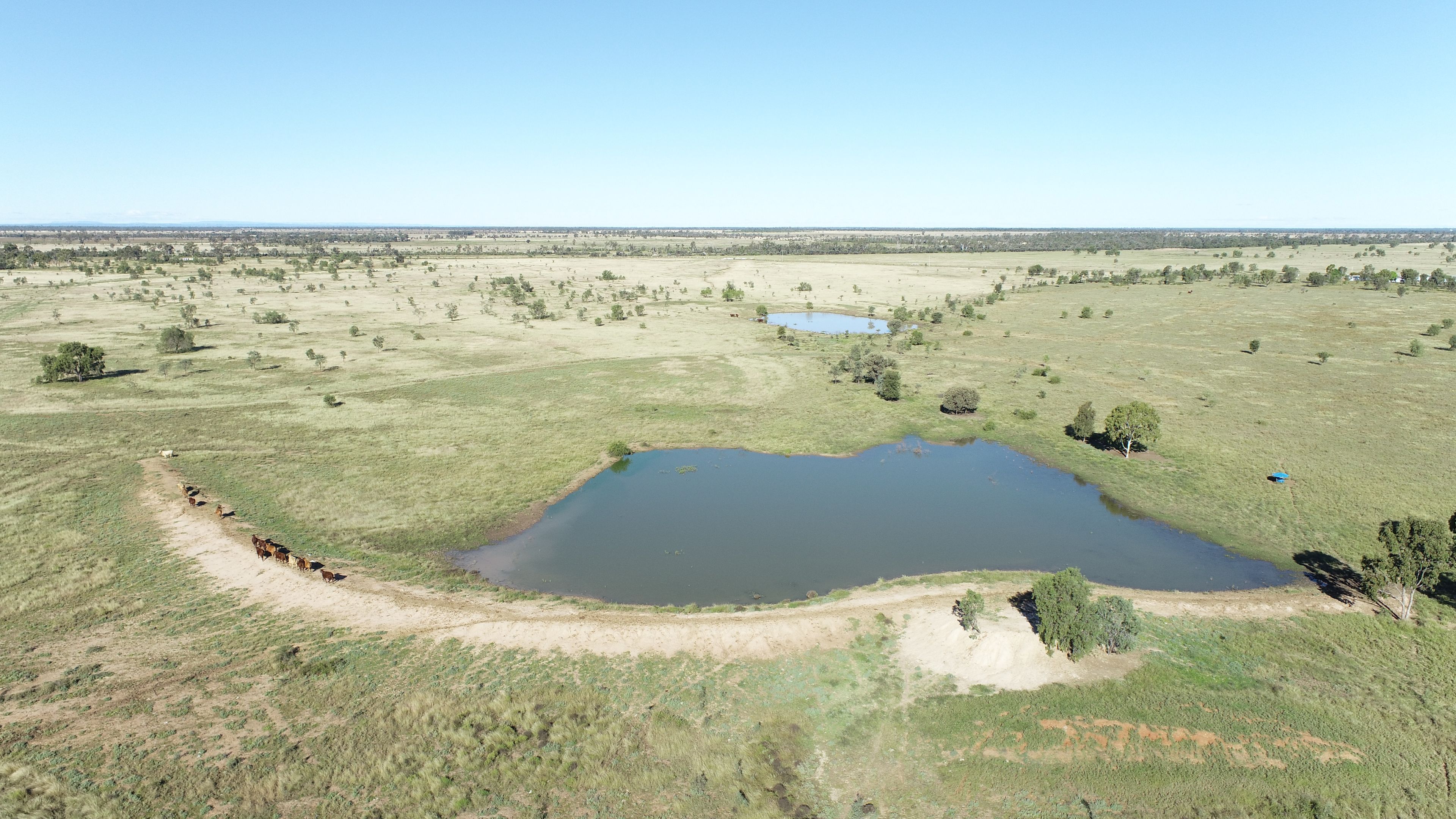 Ray White Rural Queensland