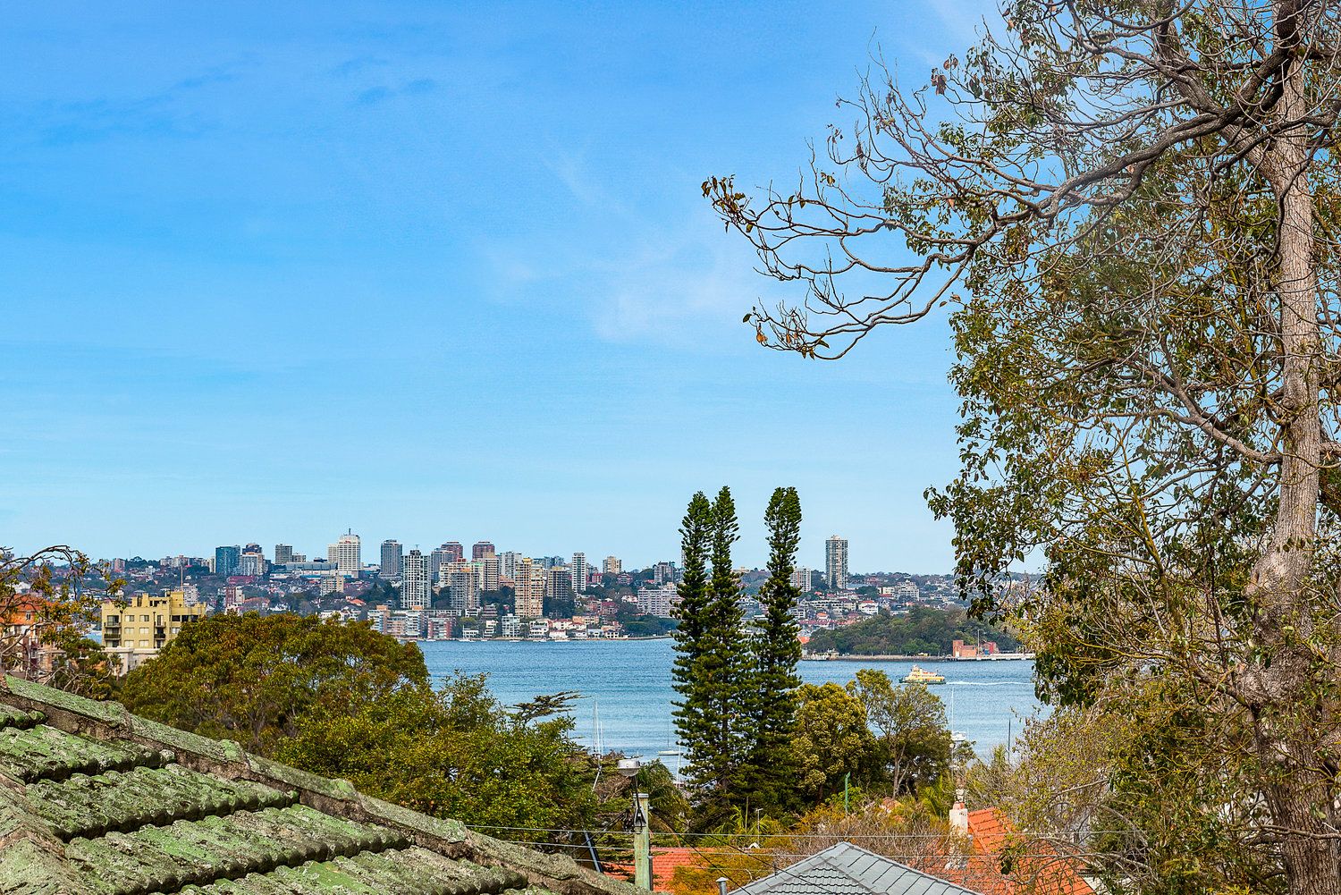 2/3 Powell Street, Neutral Bay, NSW 2089
