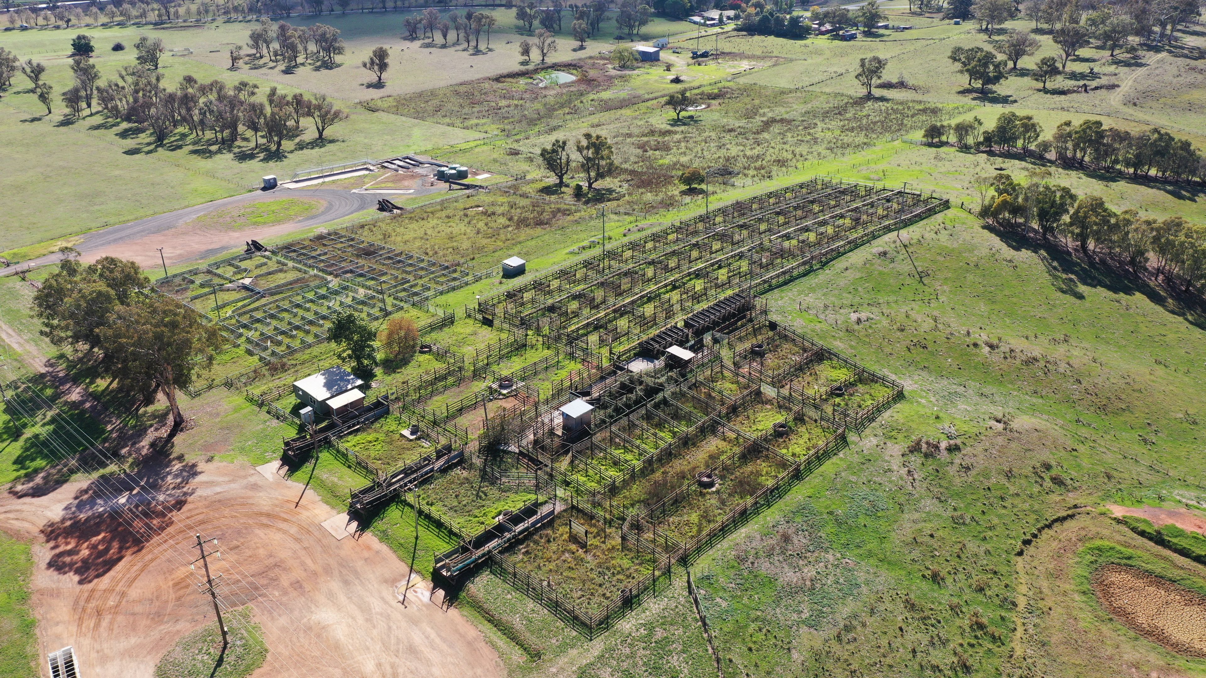 1/16 25 Saleyards Road, Walcha, NSW 2354 Sold Commercial Farming
