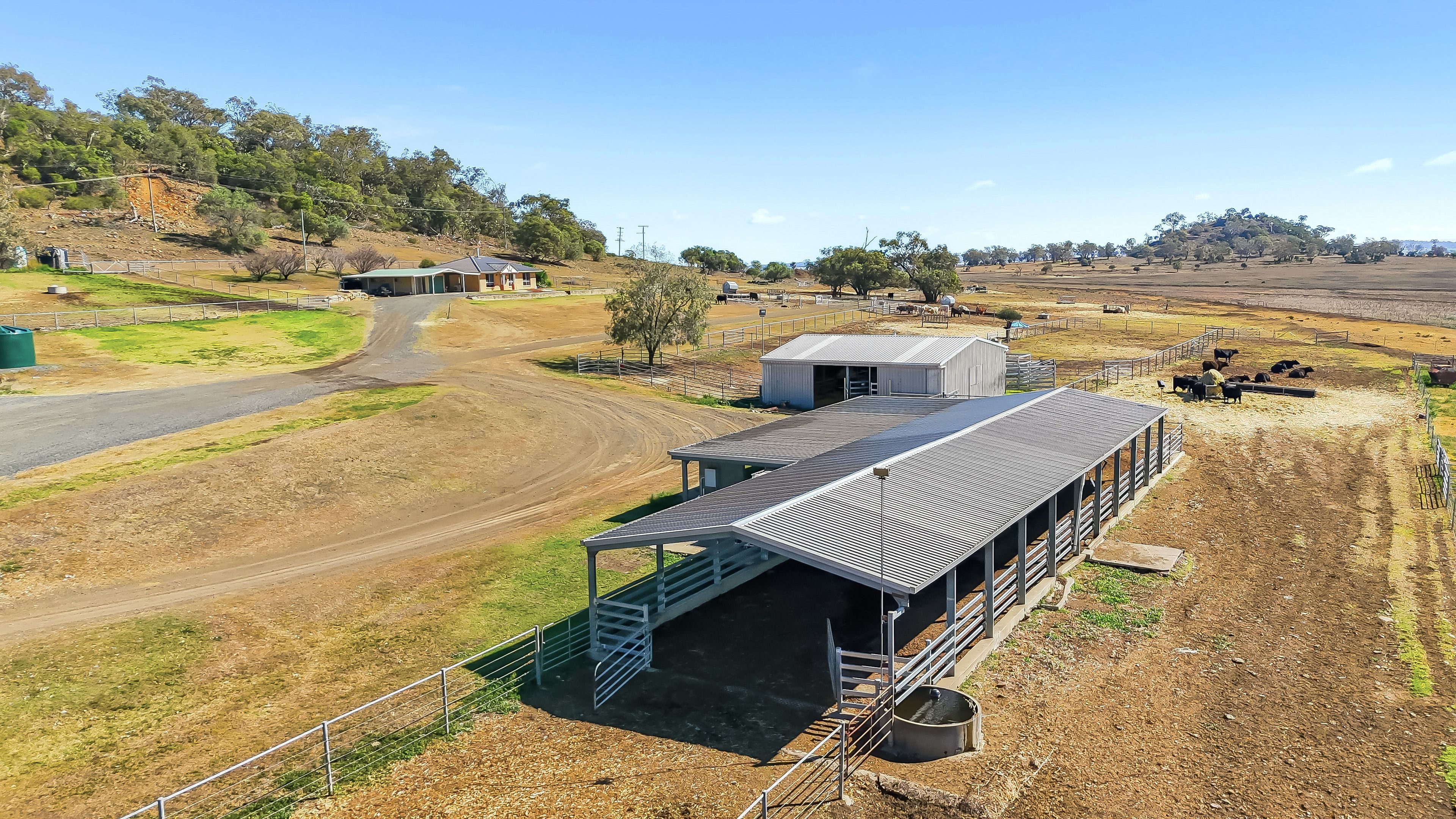 "Mountain Glen" Oakey Pittsworth Road — photo 17 of 30