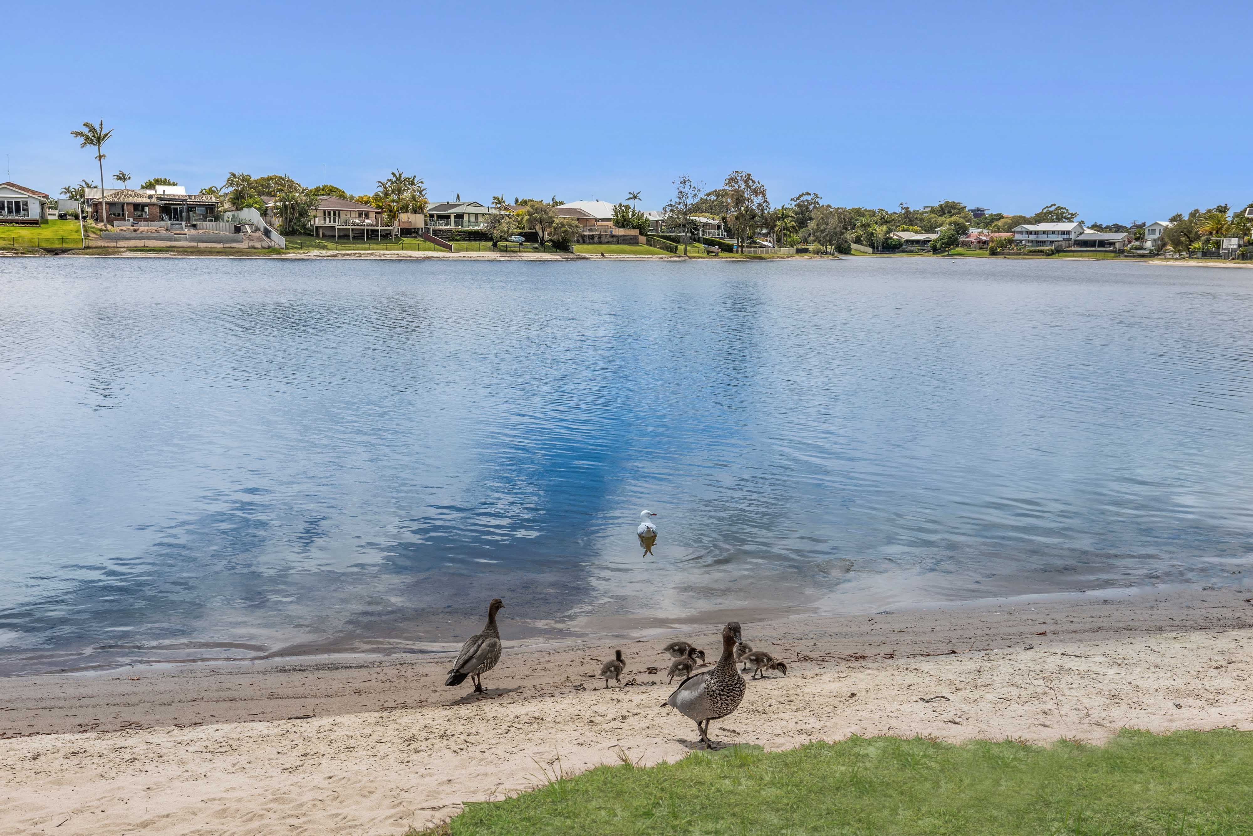 2/15 Barbet Place — photo 28 of 29