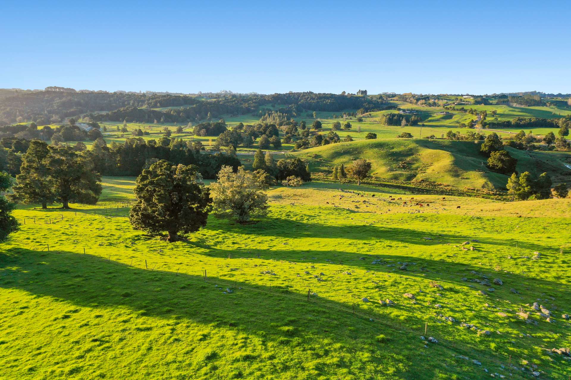 Kerikeri  Far North District  0230 photo 3