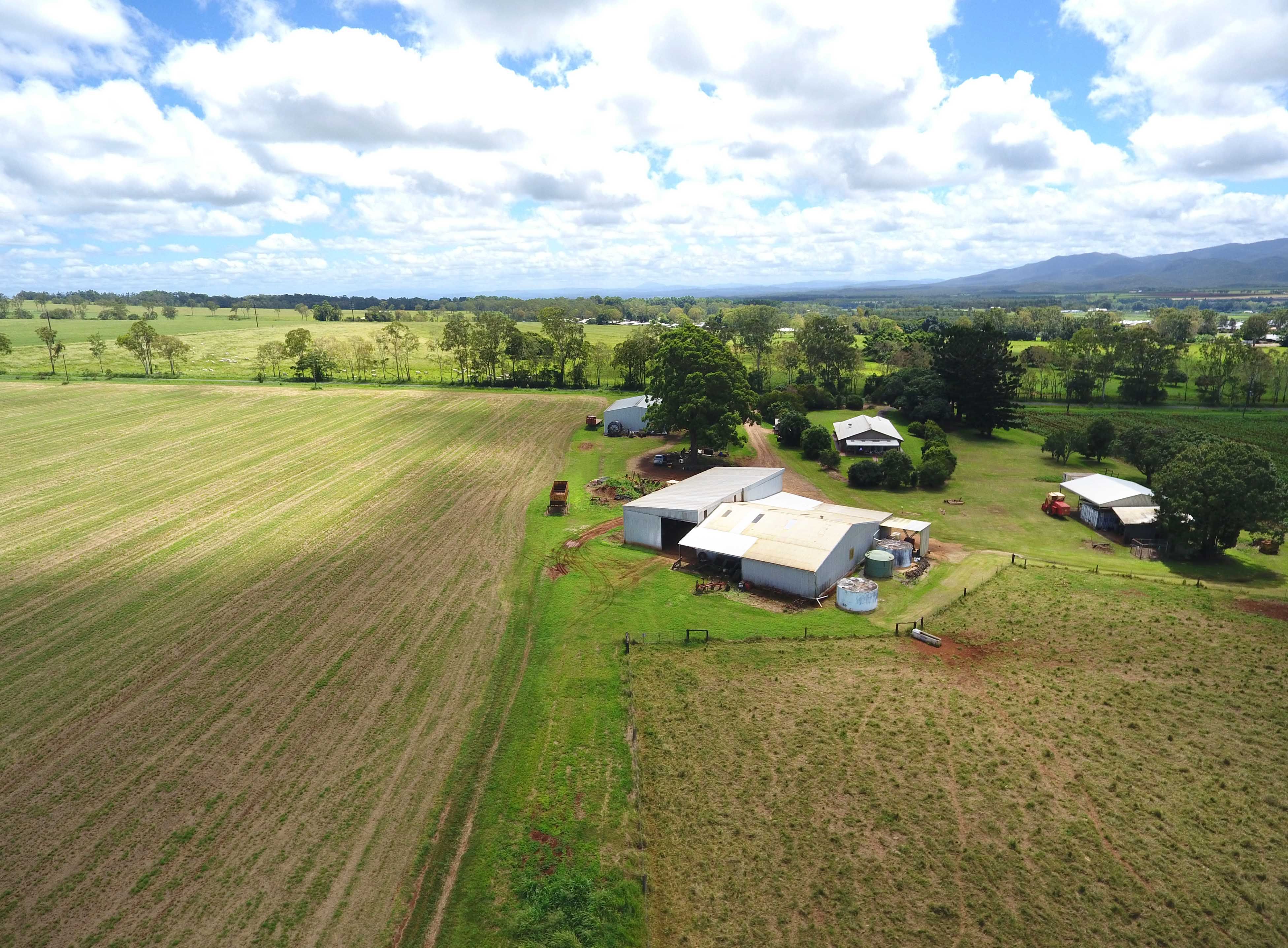 Tolga, QLD 4882 Rural Cropping Property for Sale Ray White Rural