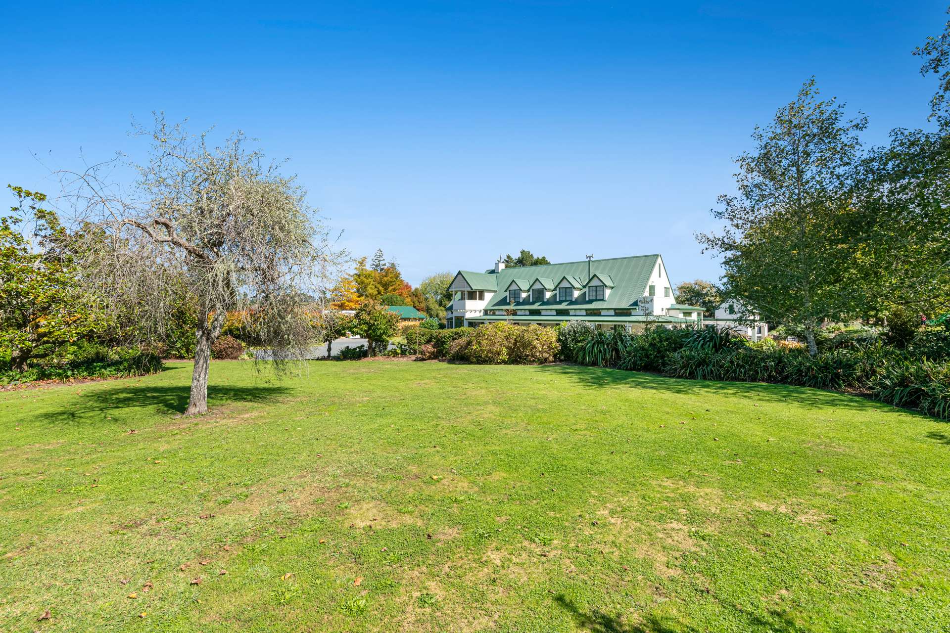 636 Kahikatea Flat Road photo 61