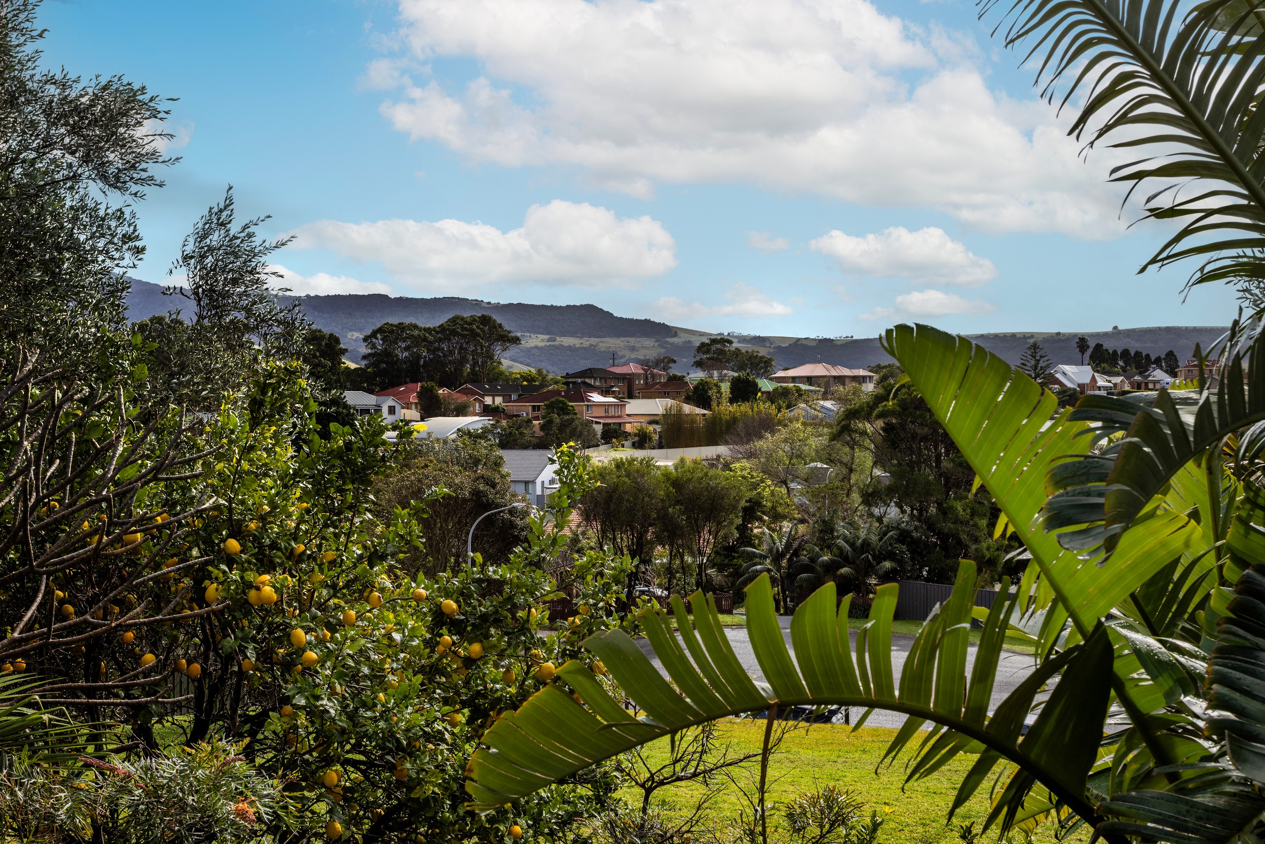 20 Henry Lee Drive, Gerringong, NSW 2534