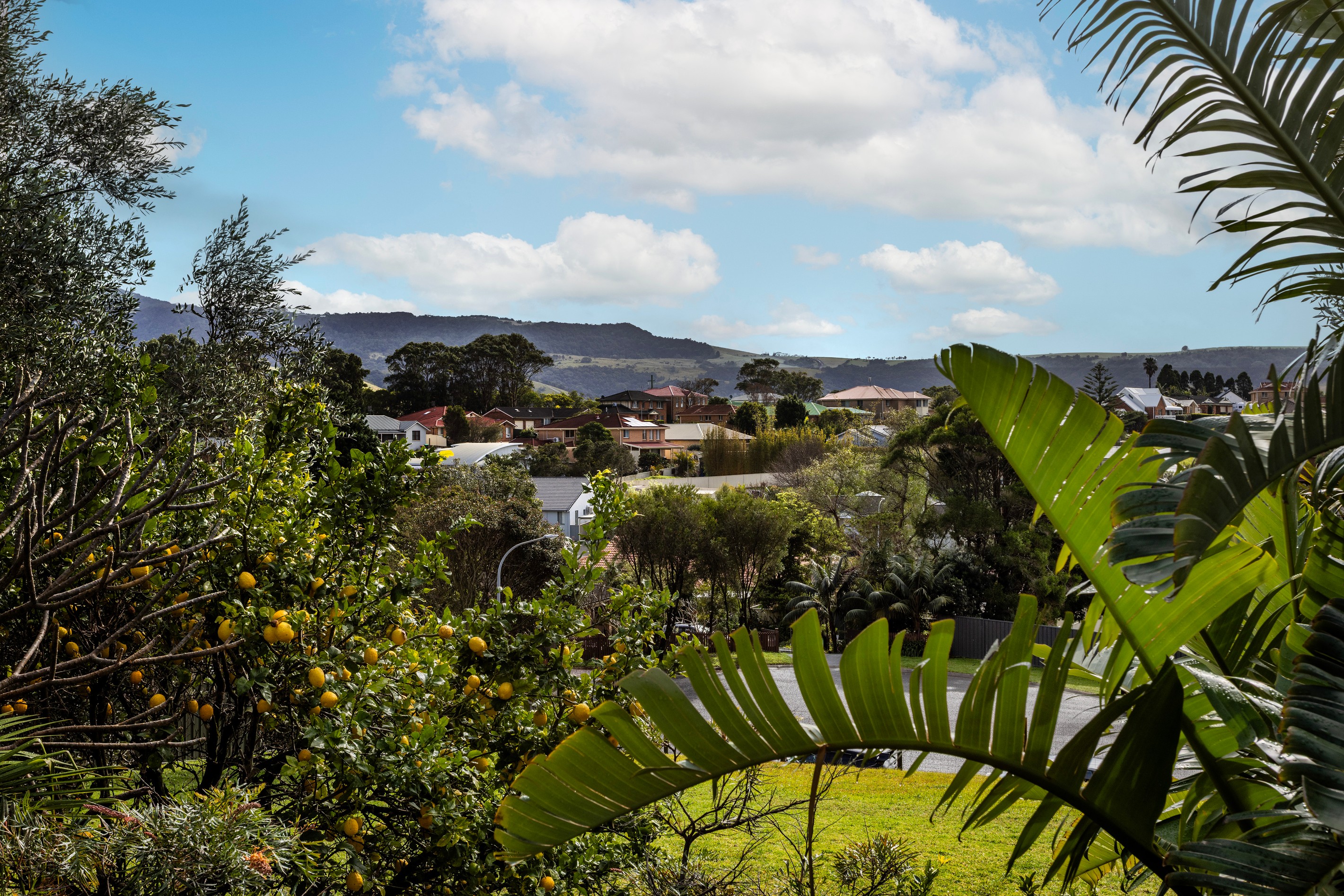 20 Henry Lee Drive, Gerringong, NSW 2534