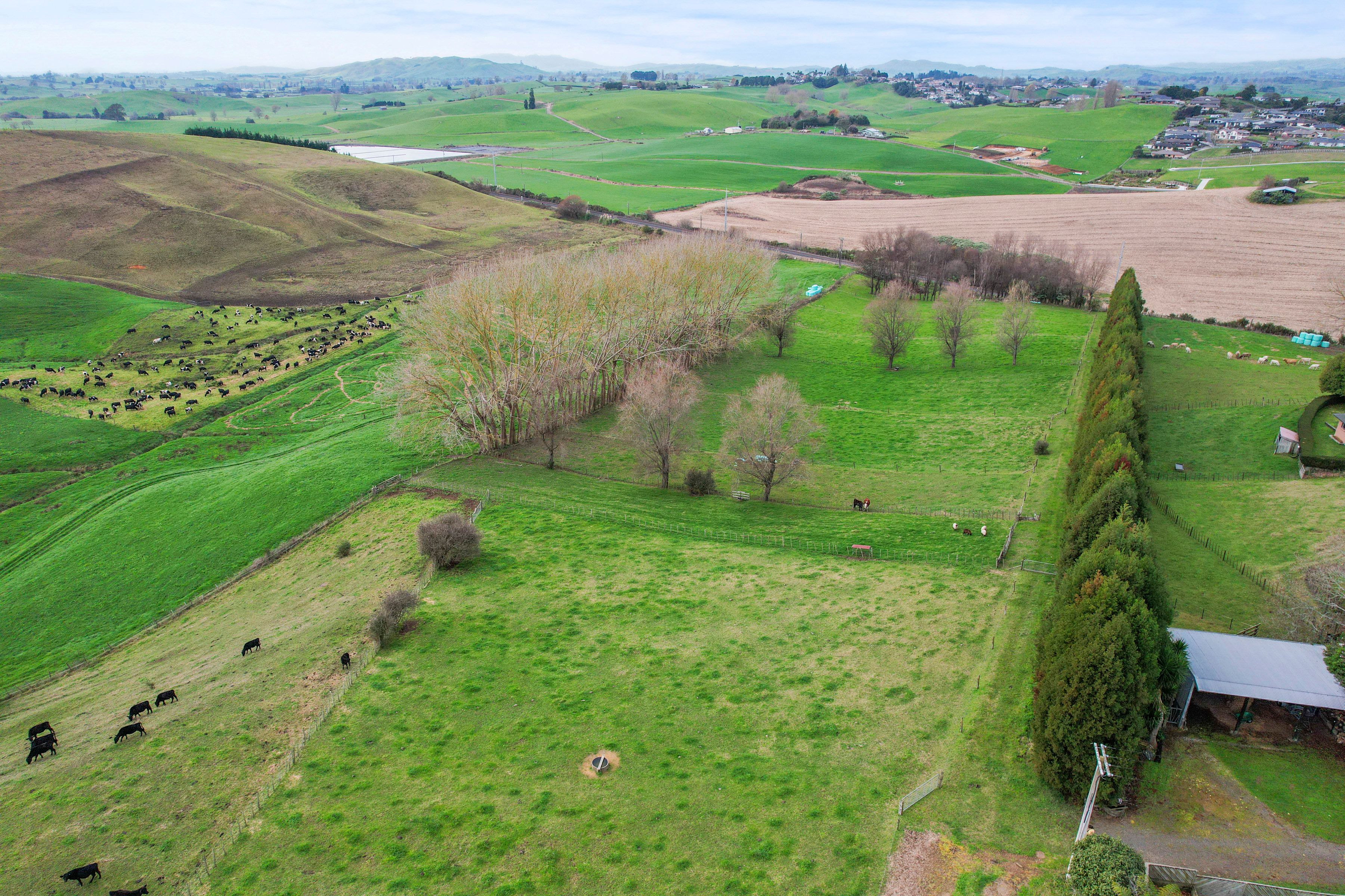 95 Mountain View Road, Otorohanga, Otorohanga District