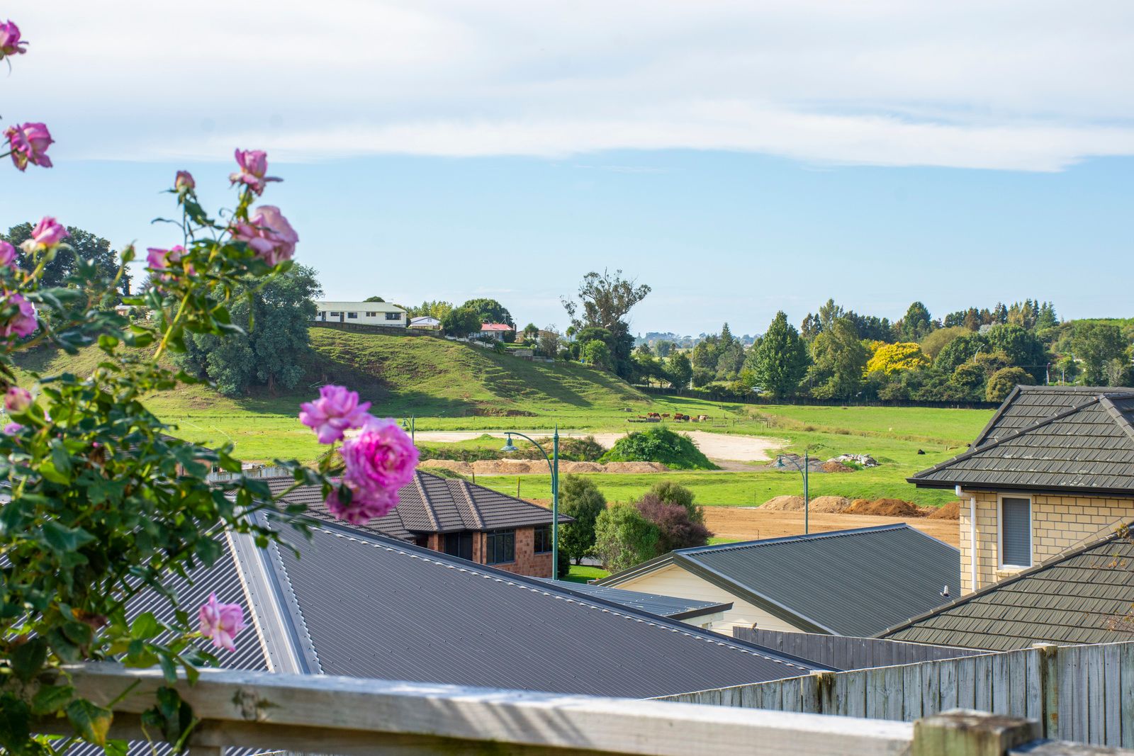 14 Allanah Place, Te Puke, Western Bay Of Plenty District