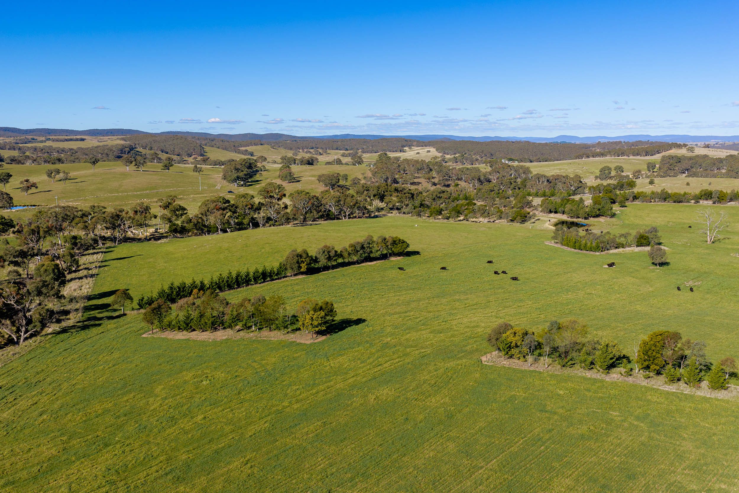 1706 Crookwell Road, Wayo via — photo 12 of 20