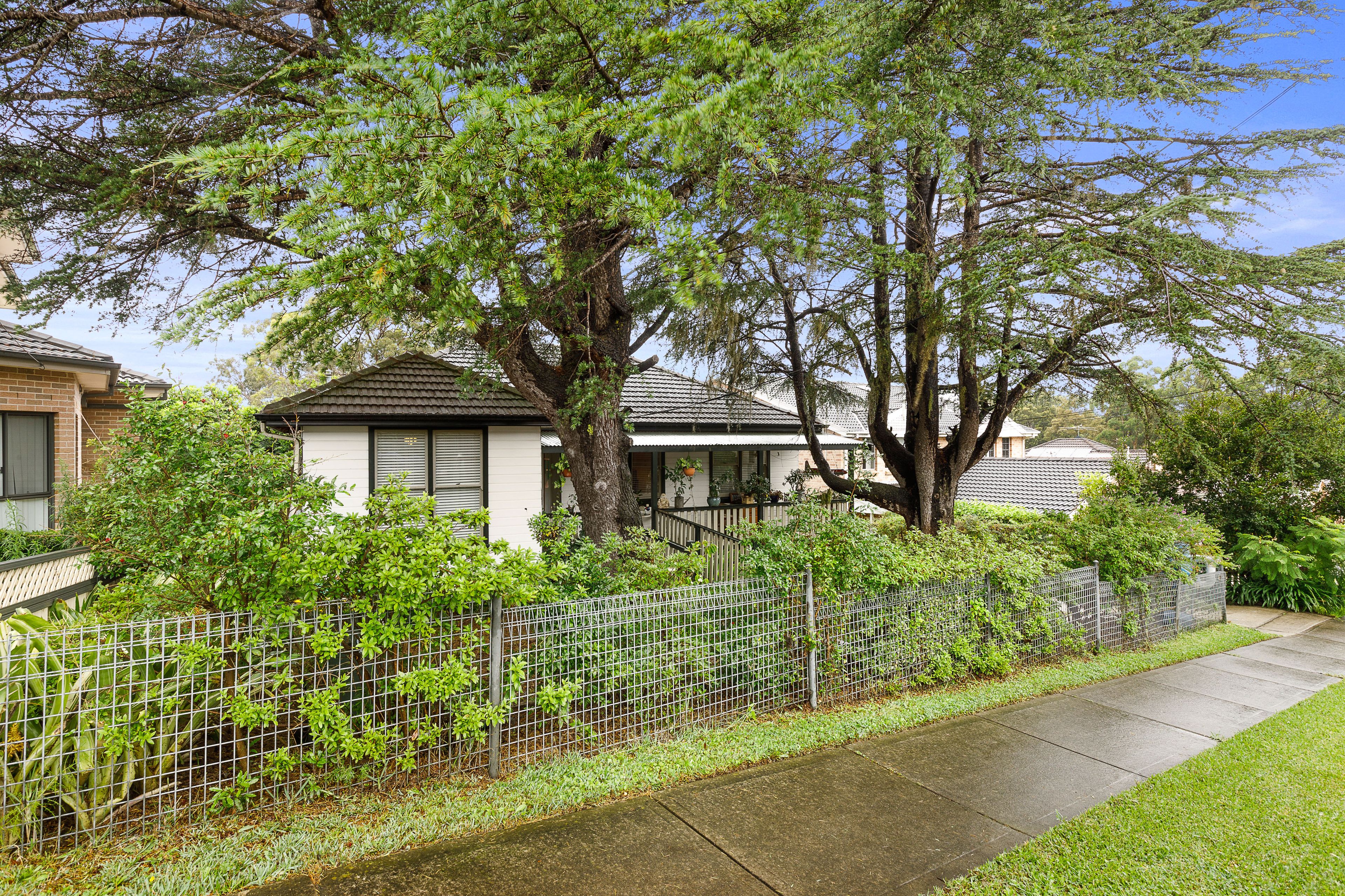 19 Patricia Street, Marsfield NSW 2122