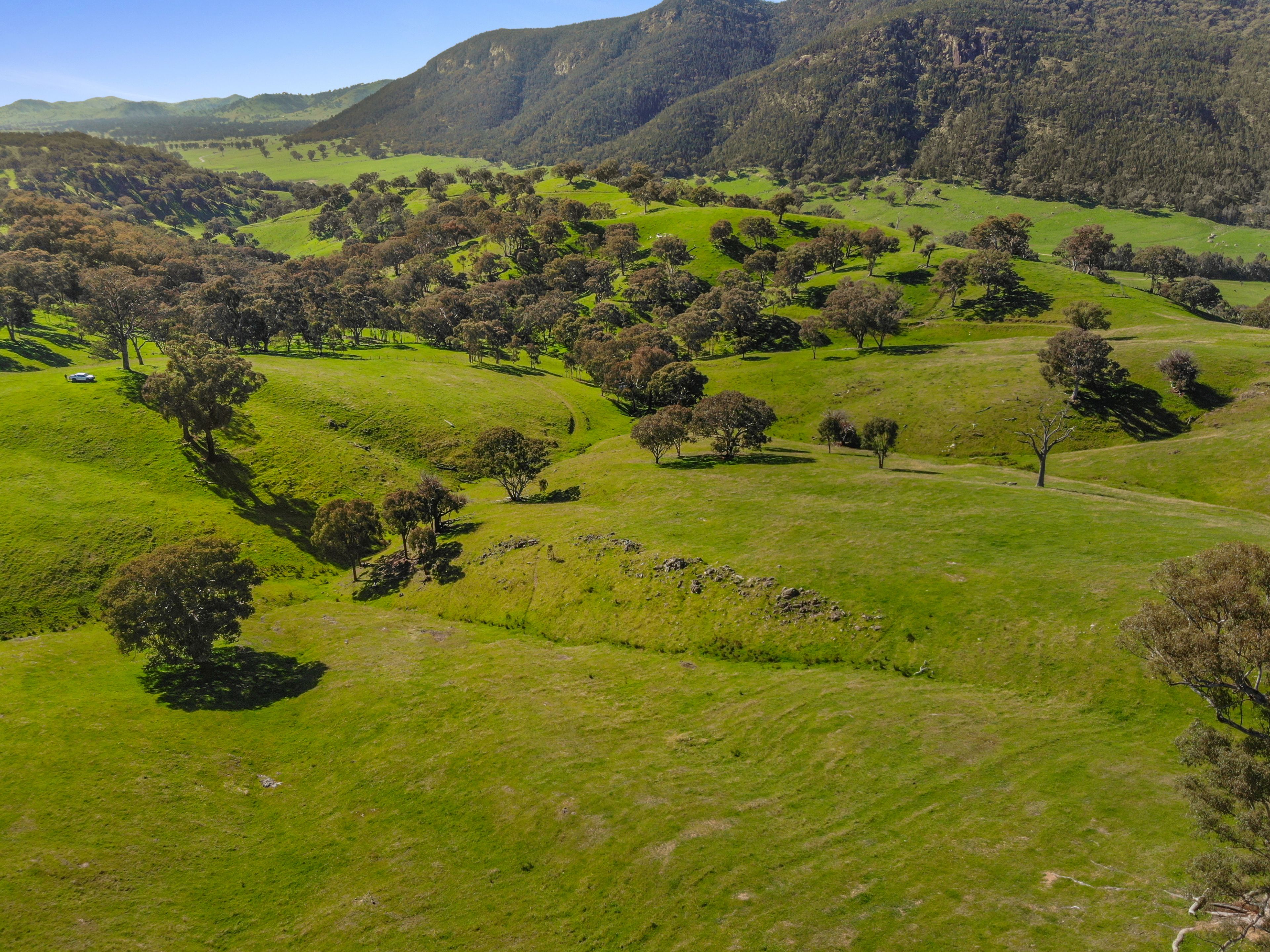 Lot 6 & 7 Brungle Road — photo 9 of 12