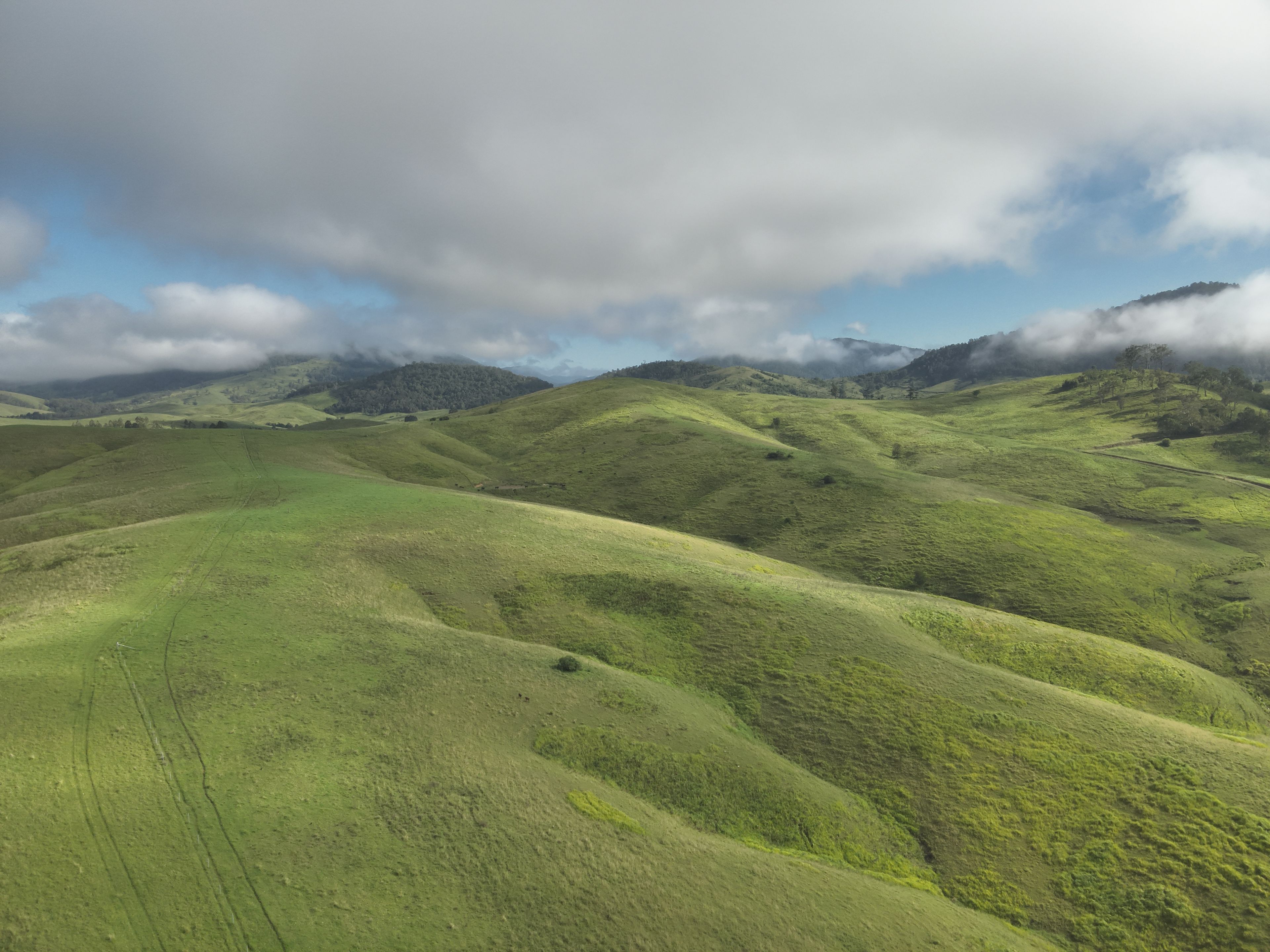 128 Cells Road, Number One, NSW 2424