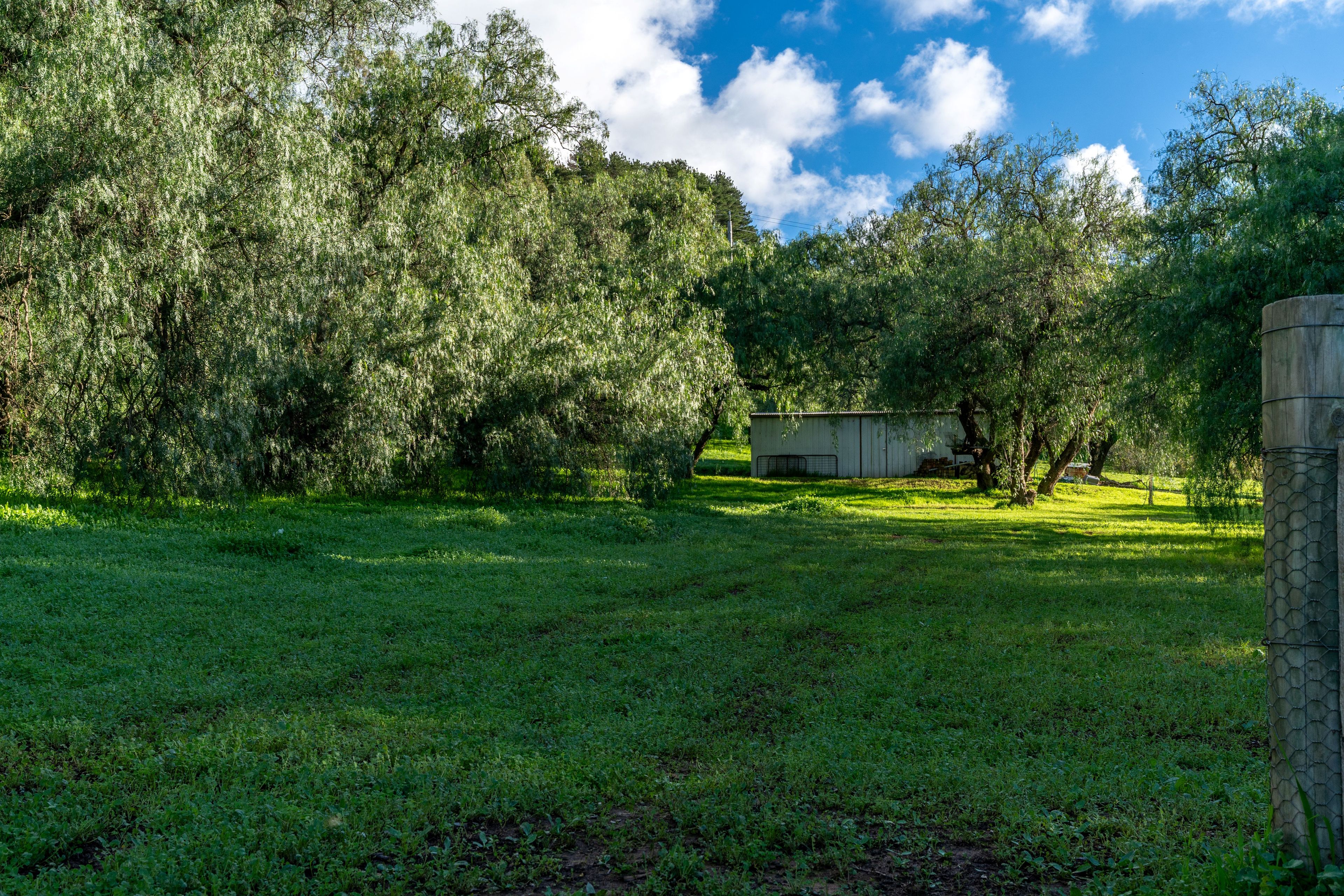 8389 Goulburn Valley Highway — photo 19 of 22