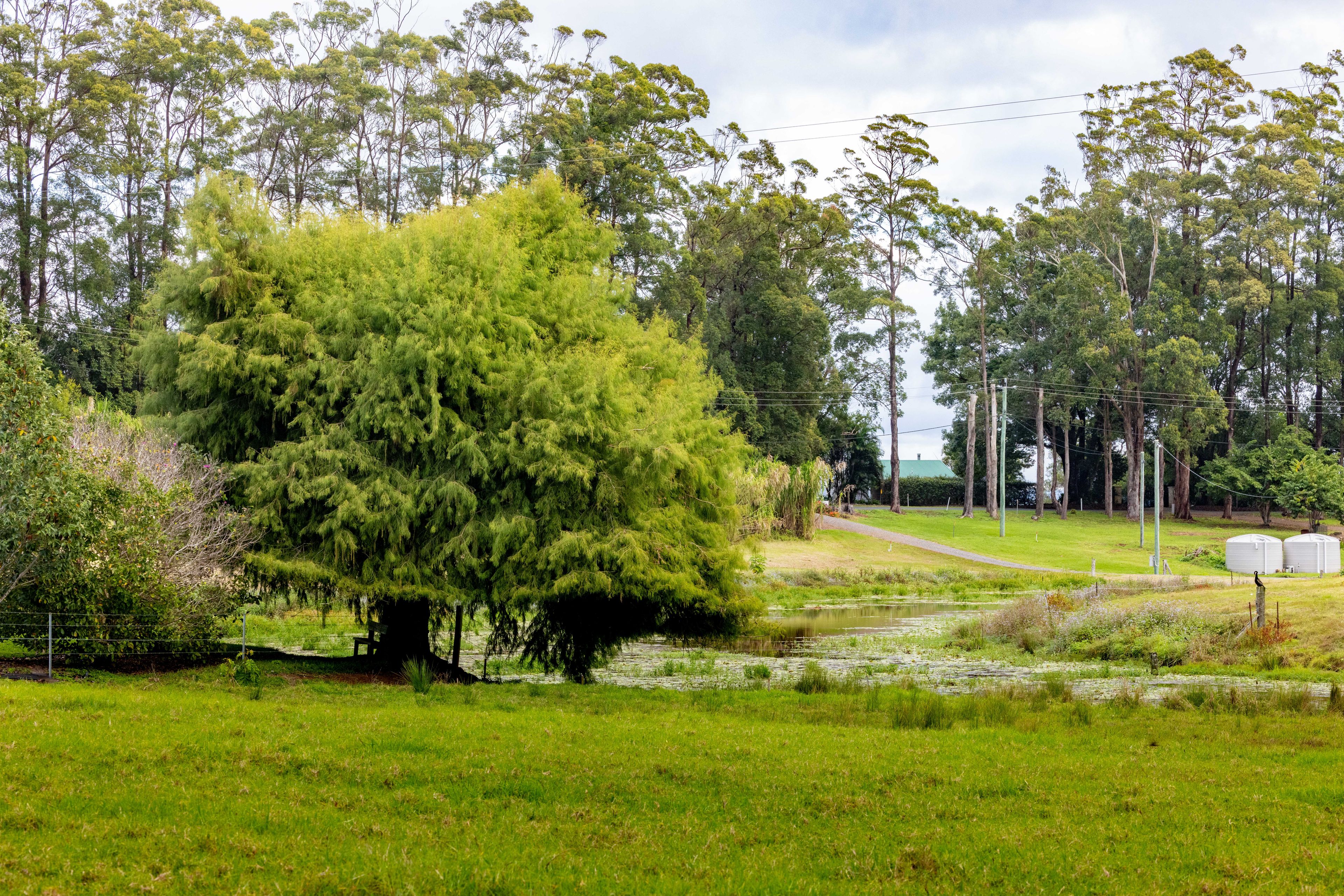 LOT 3 - 376 Curramore Road, Curramore, QLD 4552