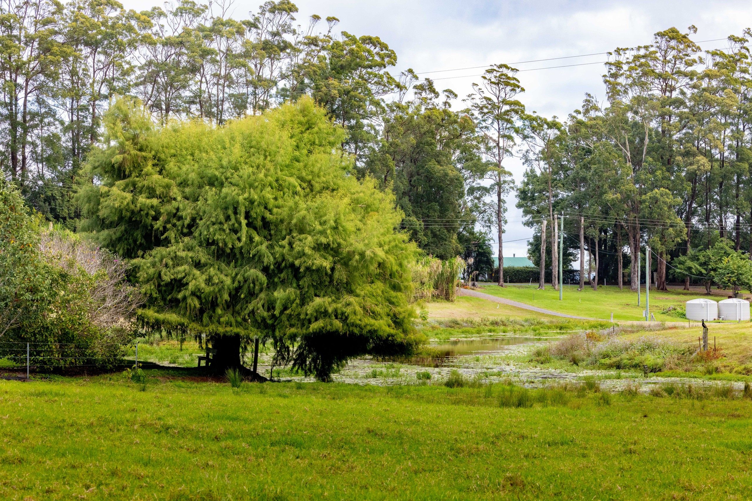 LOT 3 - 376 Curramore Road, Curramore, QLD 4552