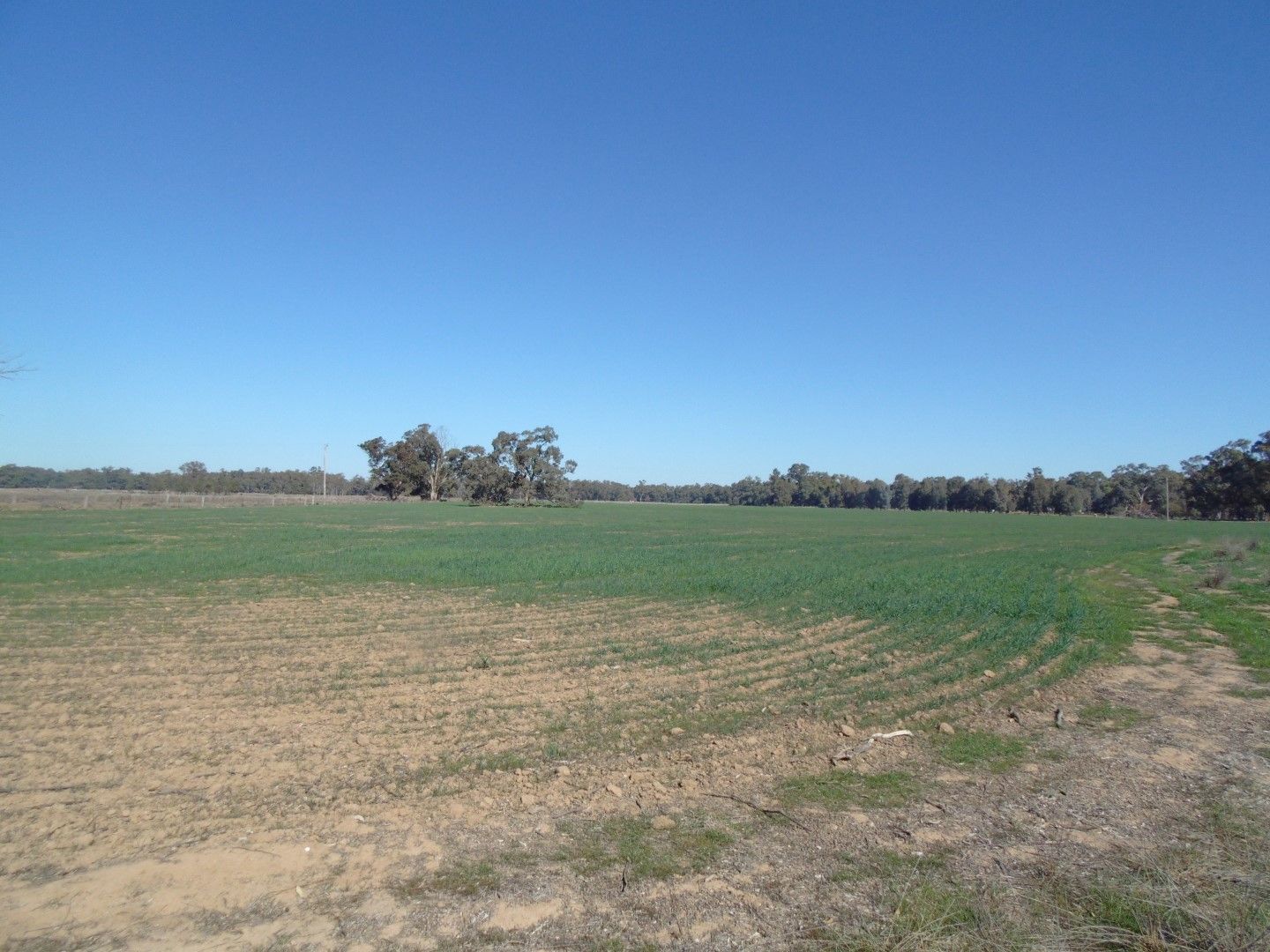 335 Watts Lane, Tichborne, NSW 2870