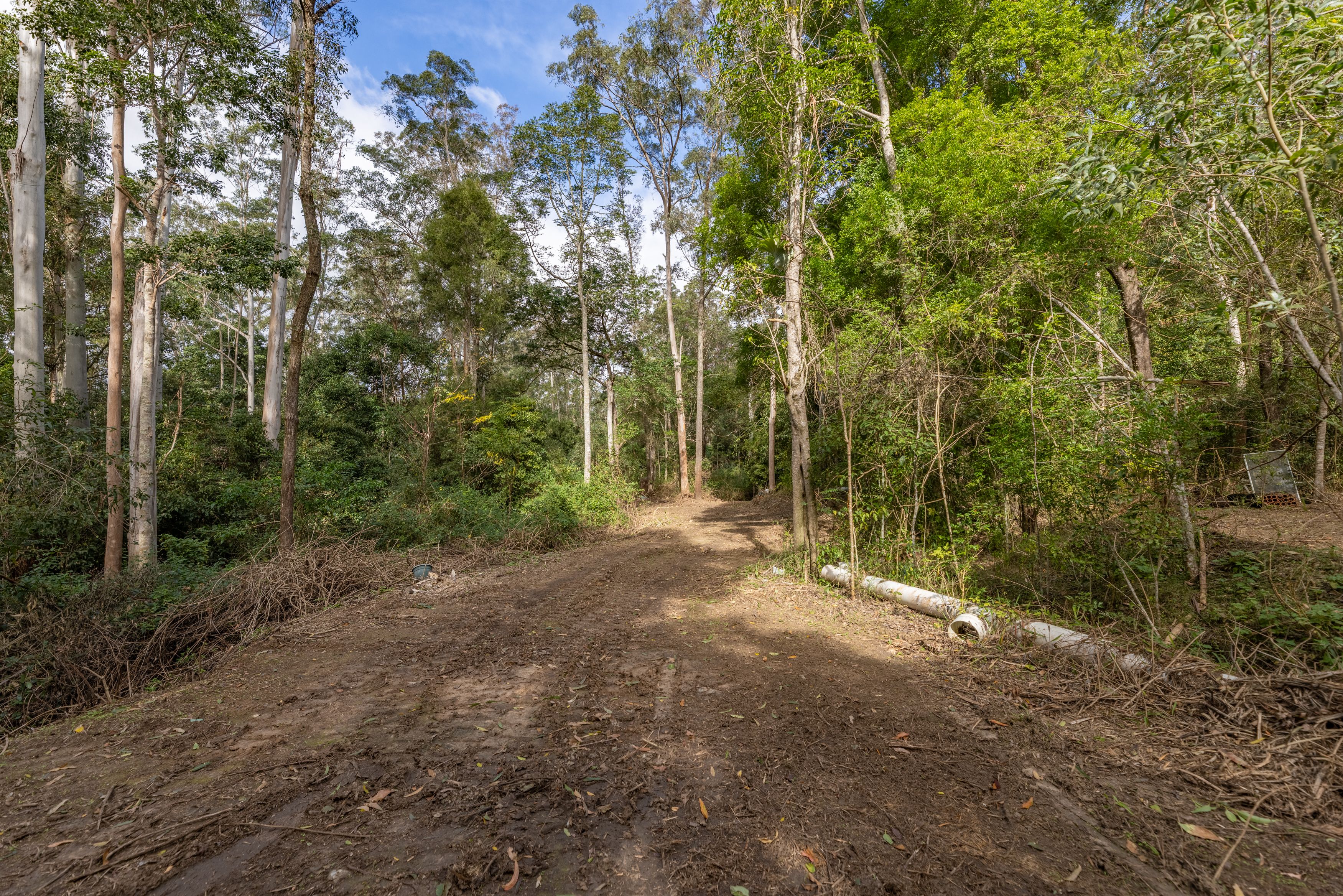 556 Newman Lane — photo 6 of 16