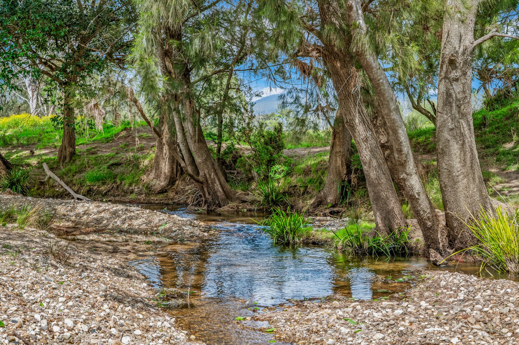 88 Germons Lane, Craven via, Gloucester, NSW 2422