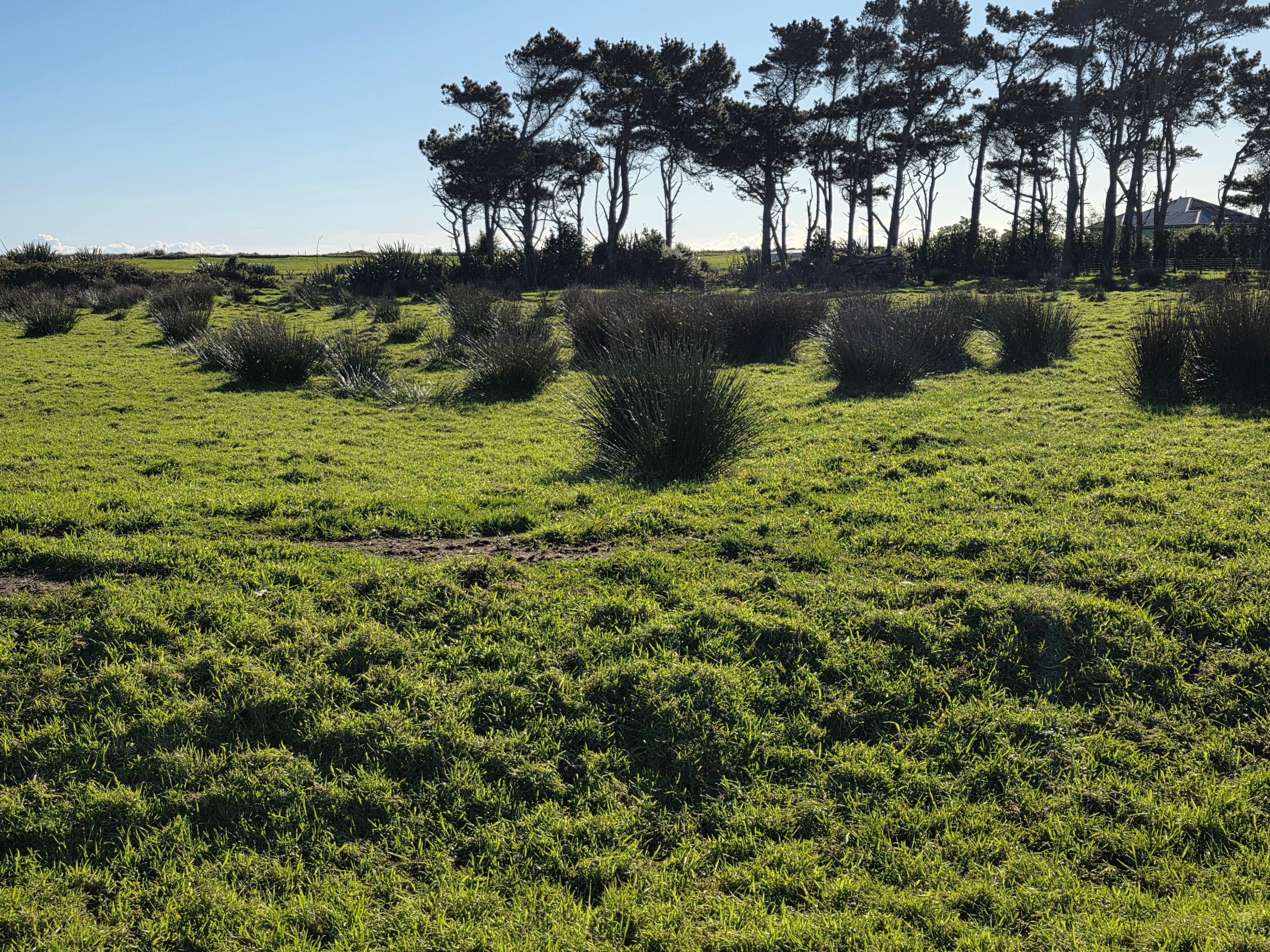 Lot 3/0 State Highway, Arahura, Westland District